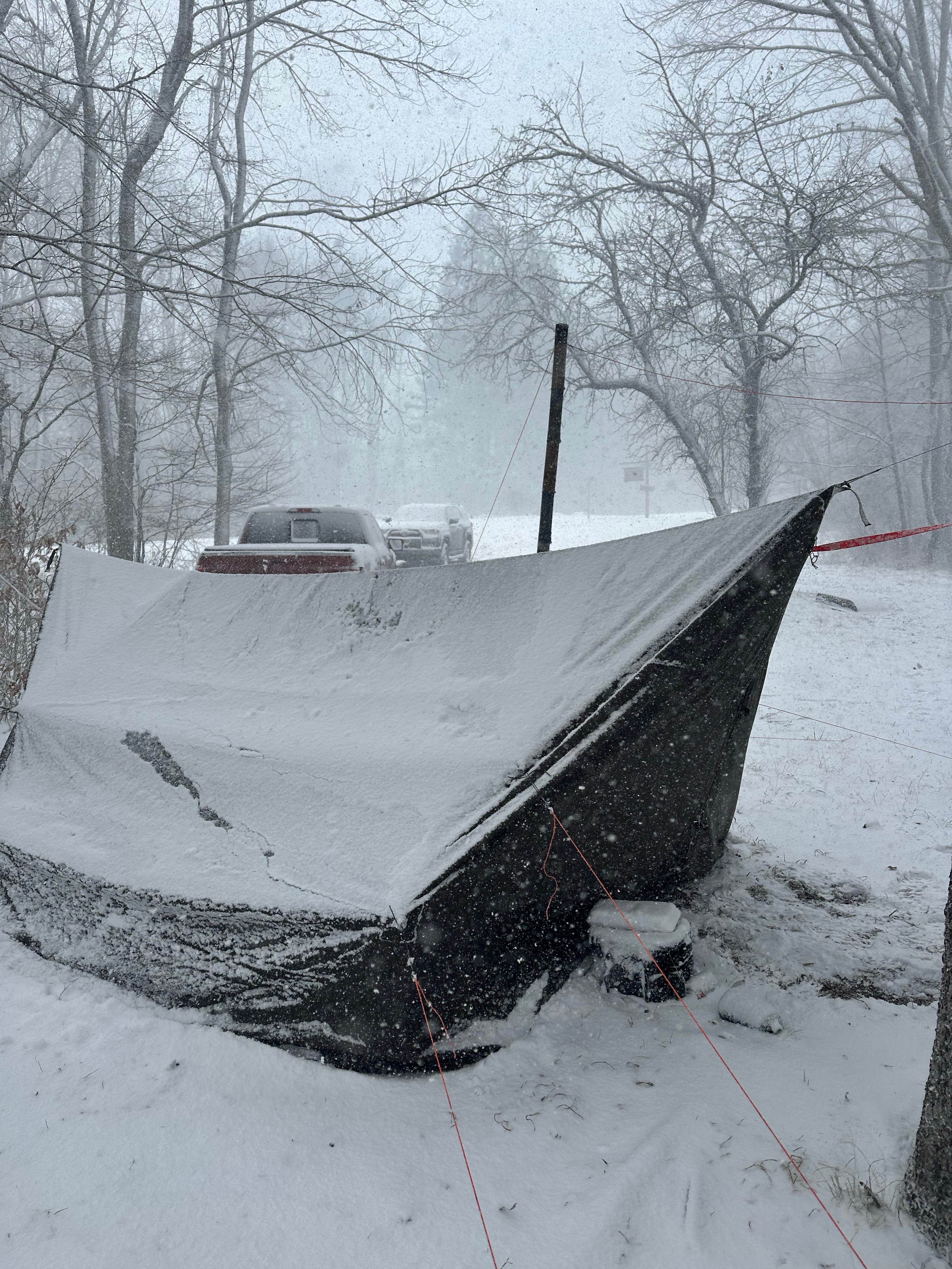 Camper submitted image from Burnt Rossman State Forest - Westkill Camp - 2