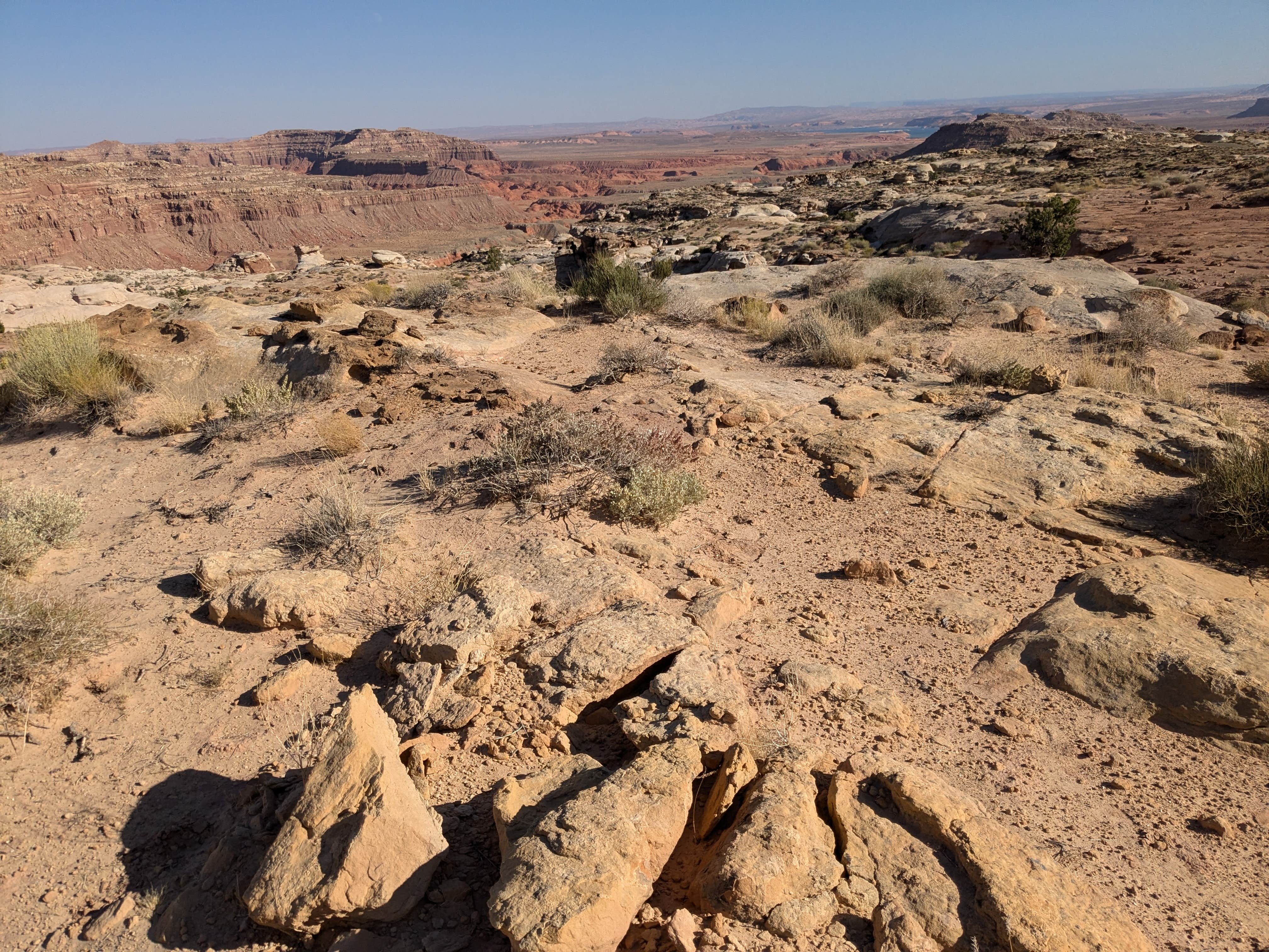 Camper submitted image from Burr Trail Road Pulloff Dispersed Campsite - 2