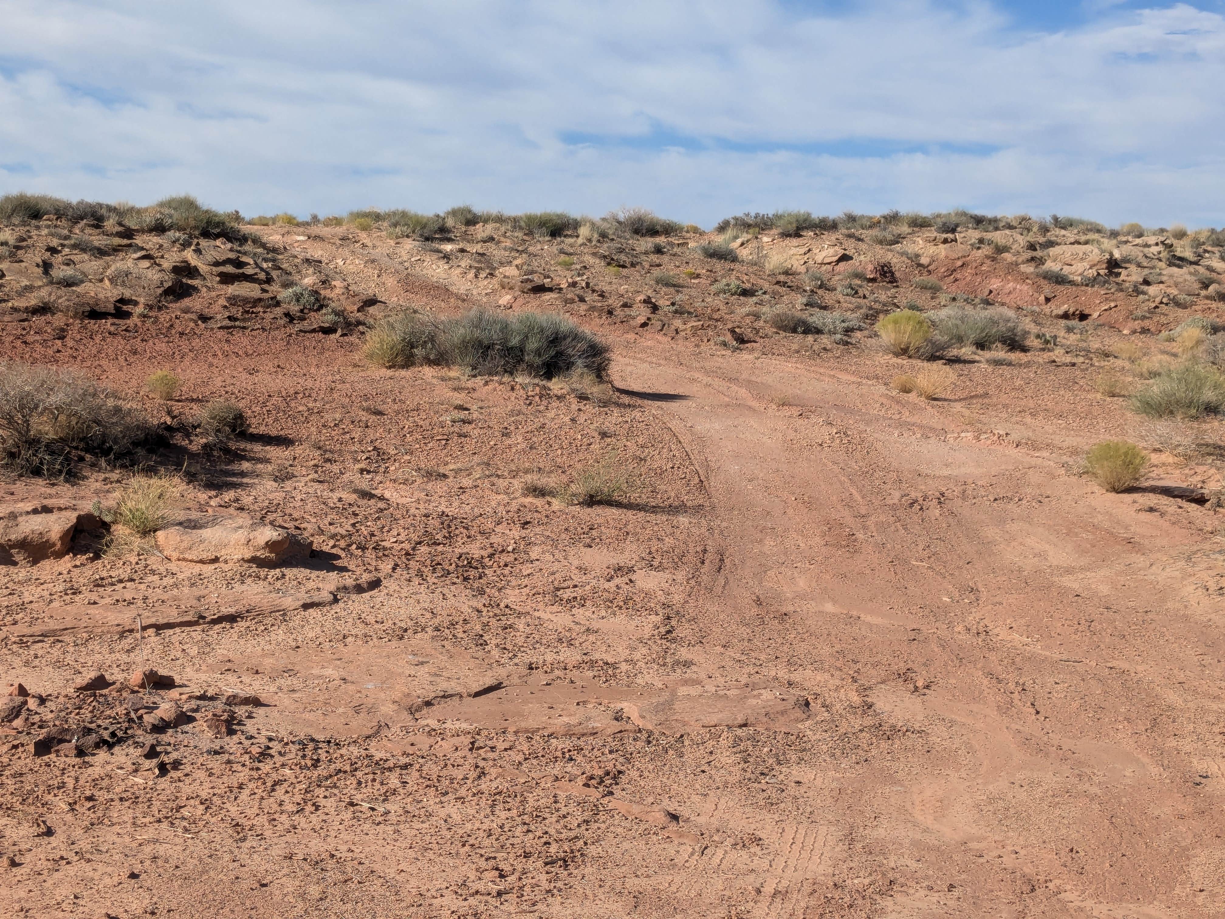 Camper submitted image from Burr Trail Road Dispersed Campsite - 3