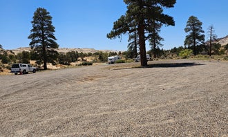 Camping near Coyote Gulch — Glen Canyon National Recreation Area: Burr Trail Road, Boulder, Utah