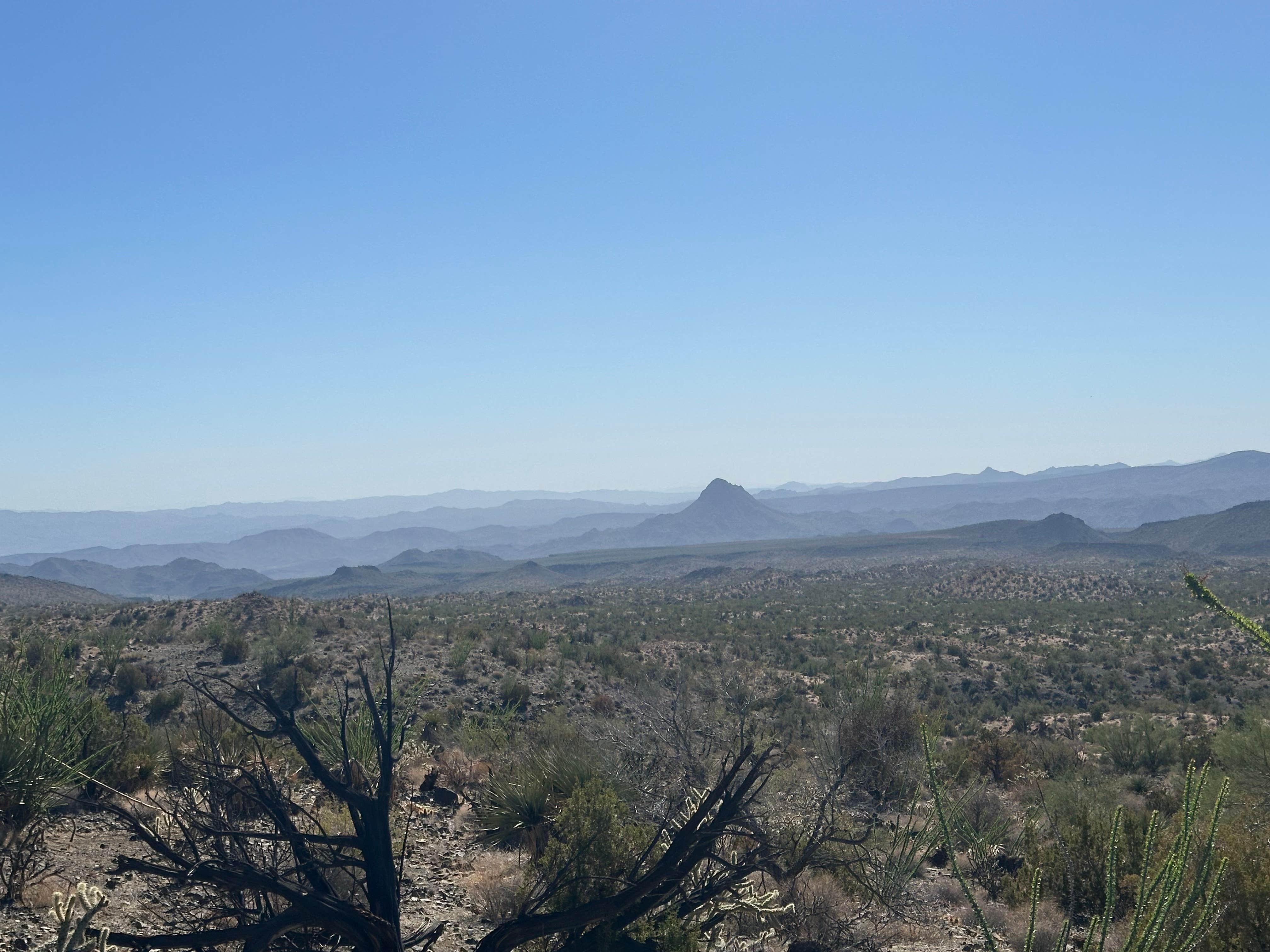 Camper submitted image from Burro Creek Overflow Dispersed Area - 1