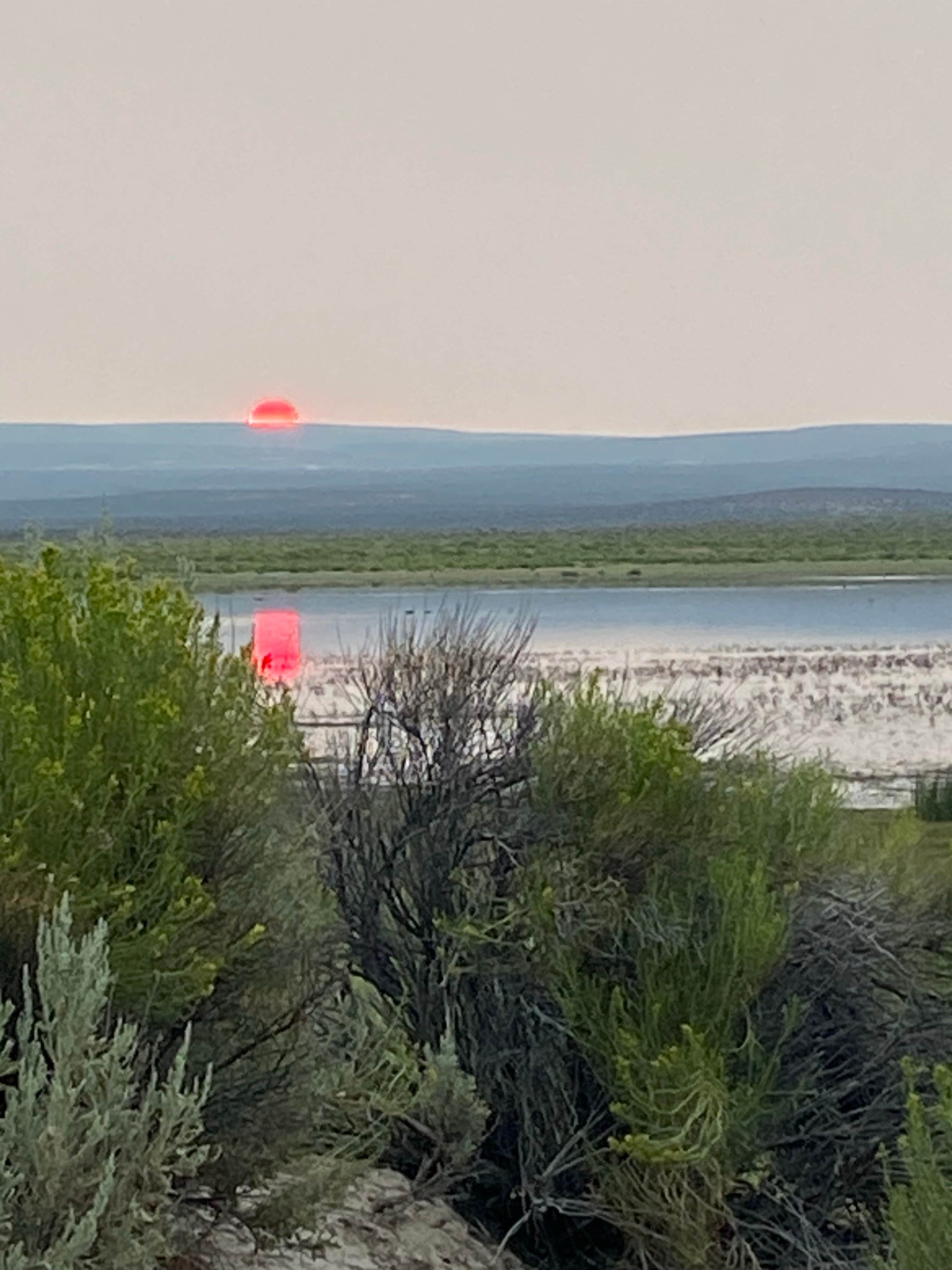 Camping near Bog Hot Springs Dispersed Camping: Burshy Point Dispersed Camping, Denio, Nevada