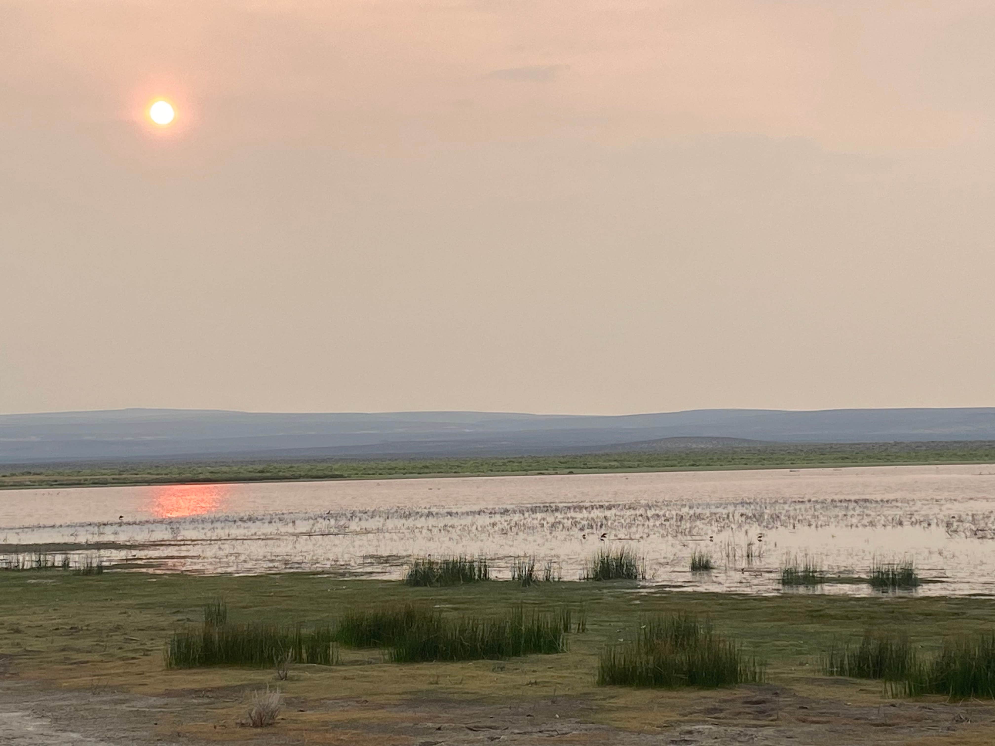 Carini's photo of a dispersed camping area at Burshy Point Dispersed Camping near Plush, OR