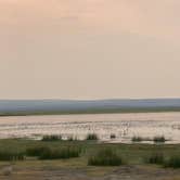 Review photo of Burshy Point Dispersed Camping by Carini , July 28, 2024