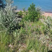 Review photo of Buryanek Recreation Area by Leslie B., July 14, 2025