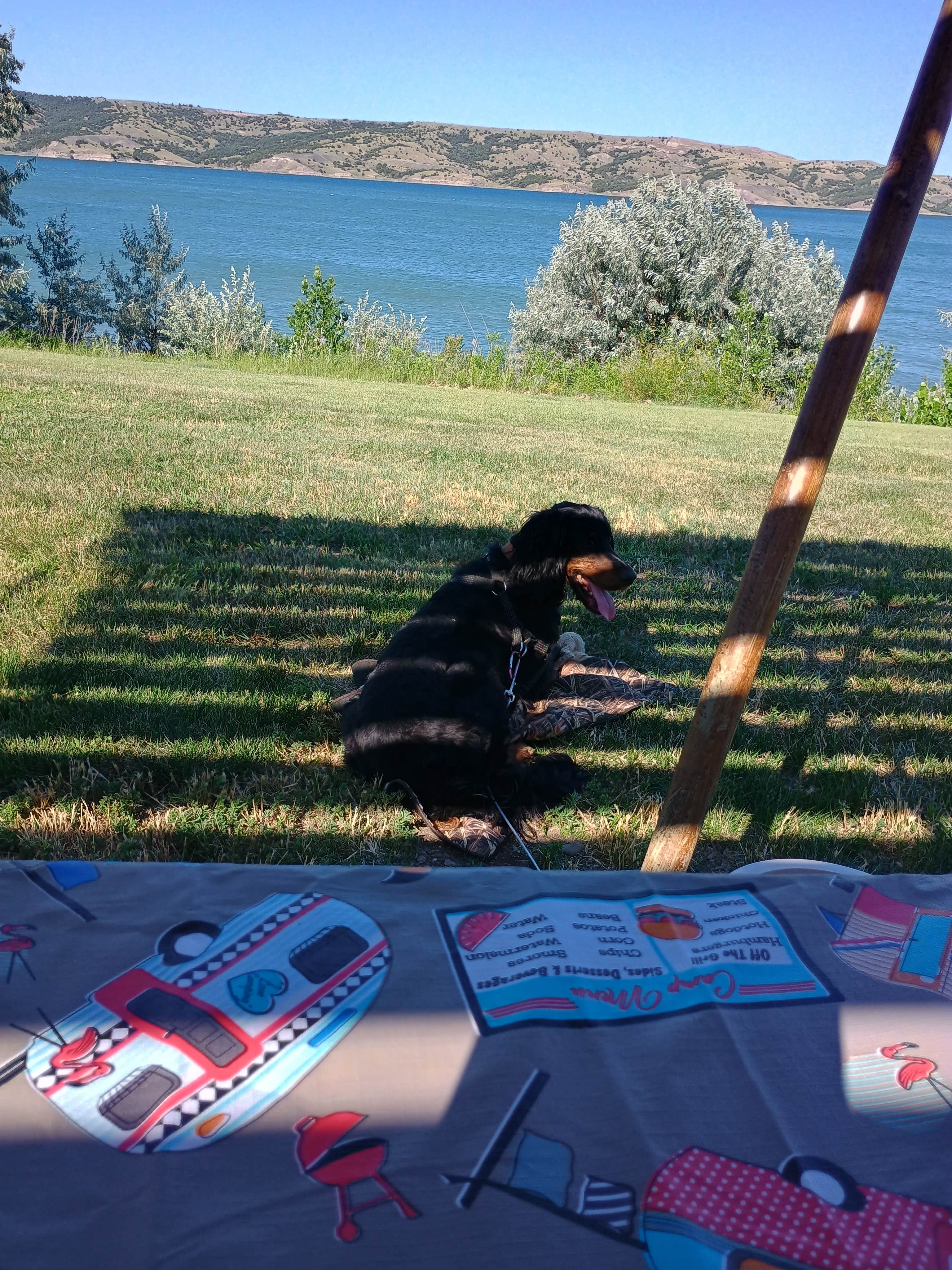 Leslie B.'s photo of camping with pets at Buryanek Recreation Area near Geddes, SD