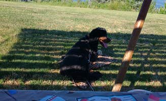 Leslie B.'s photo of camping with pets at Buryanek Recreation Area near Platte, SD