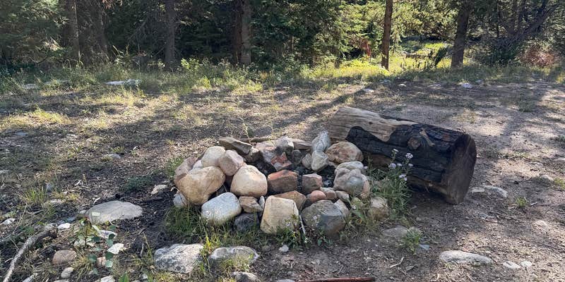 Camper submitted image from Bush Creek