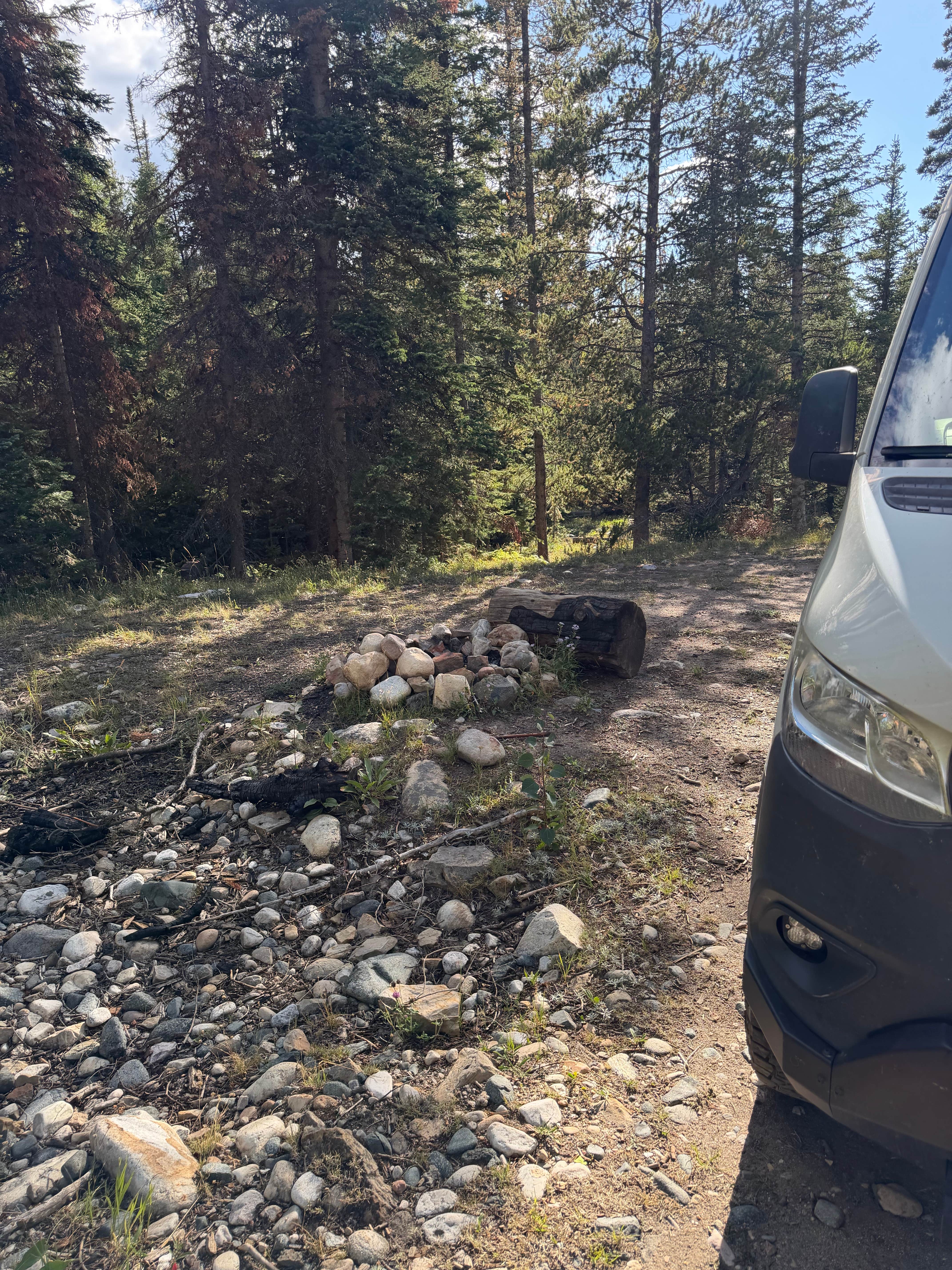 Camper-submitted photo at Bush Creek near Encampment, WY