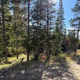 Review photo of Bush Creek by Erich B., August 16, 2026