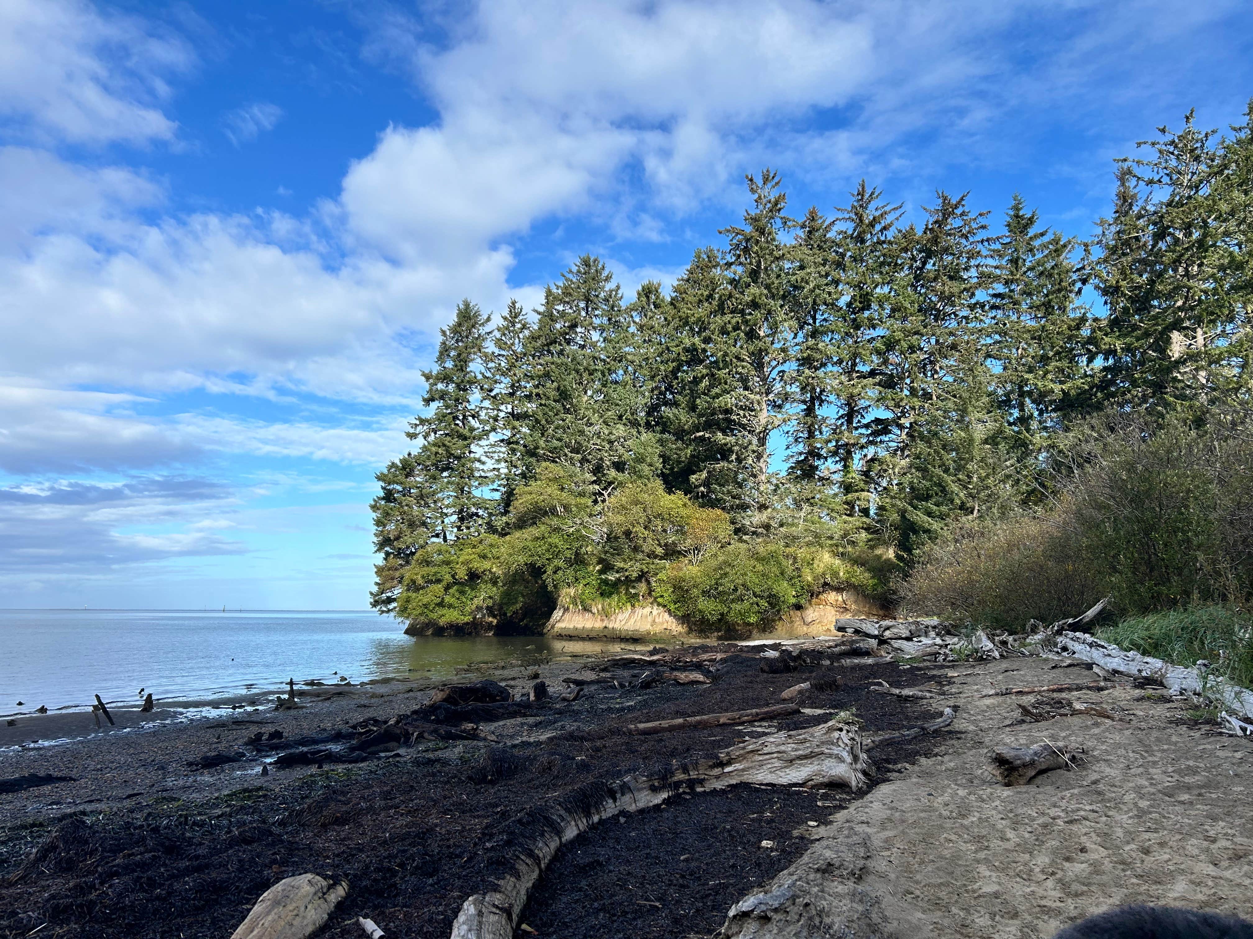 Camper-submitted photo at Bush Pioneer County Park near Ocean Park, WA