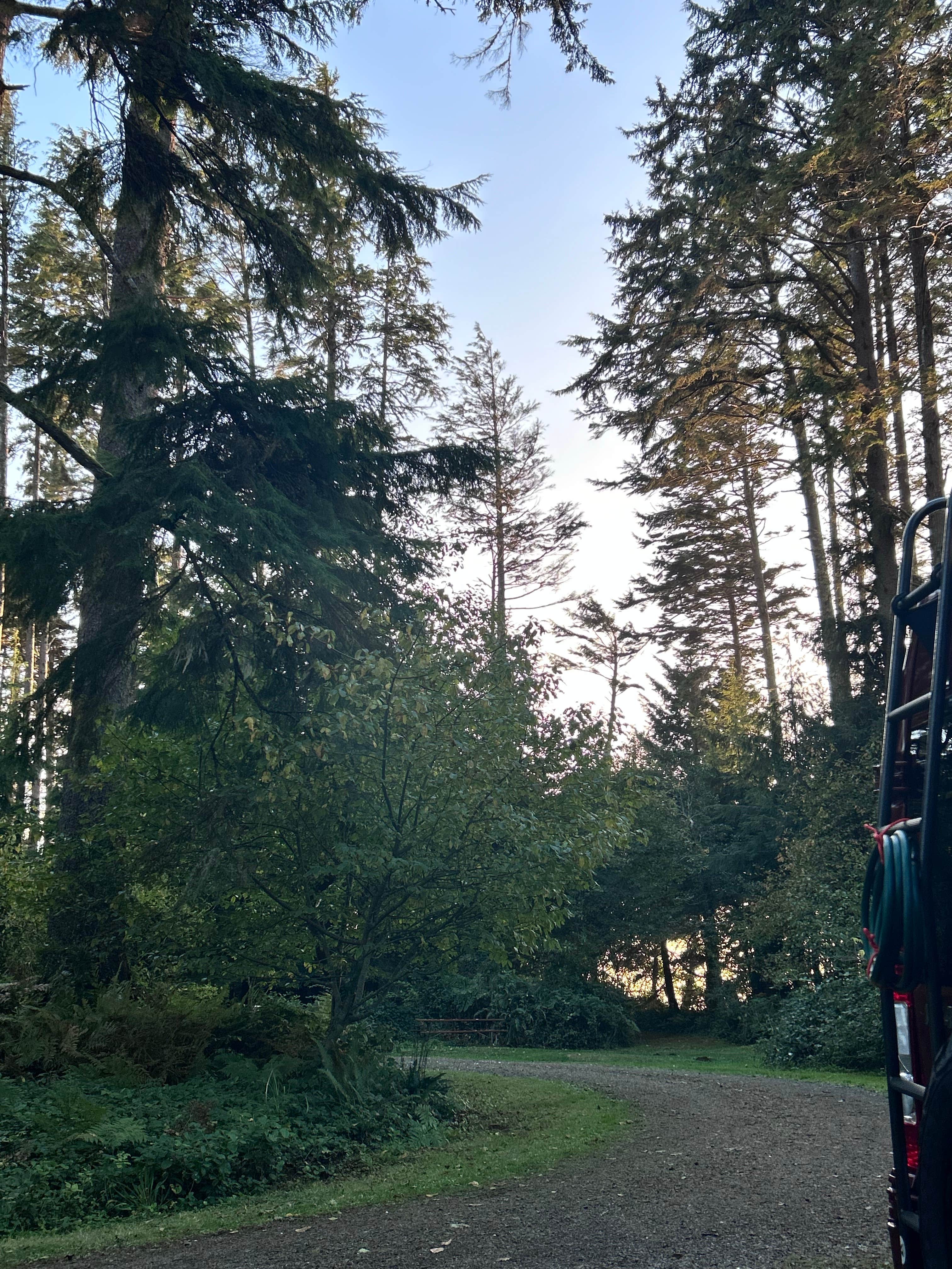 Camper-submitted photo at Bush Pioneer County Park near Ocean Park, WA
