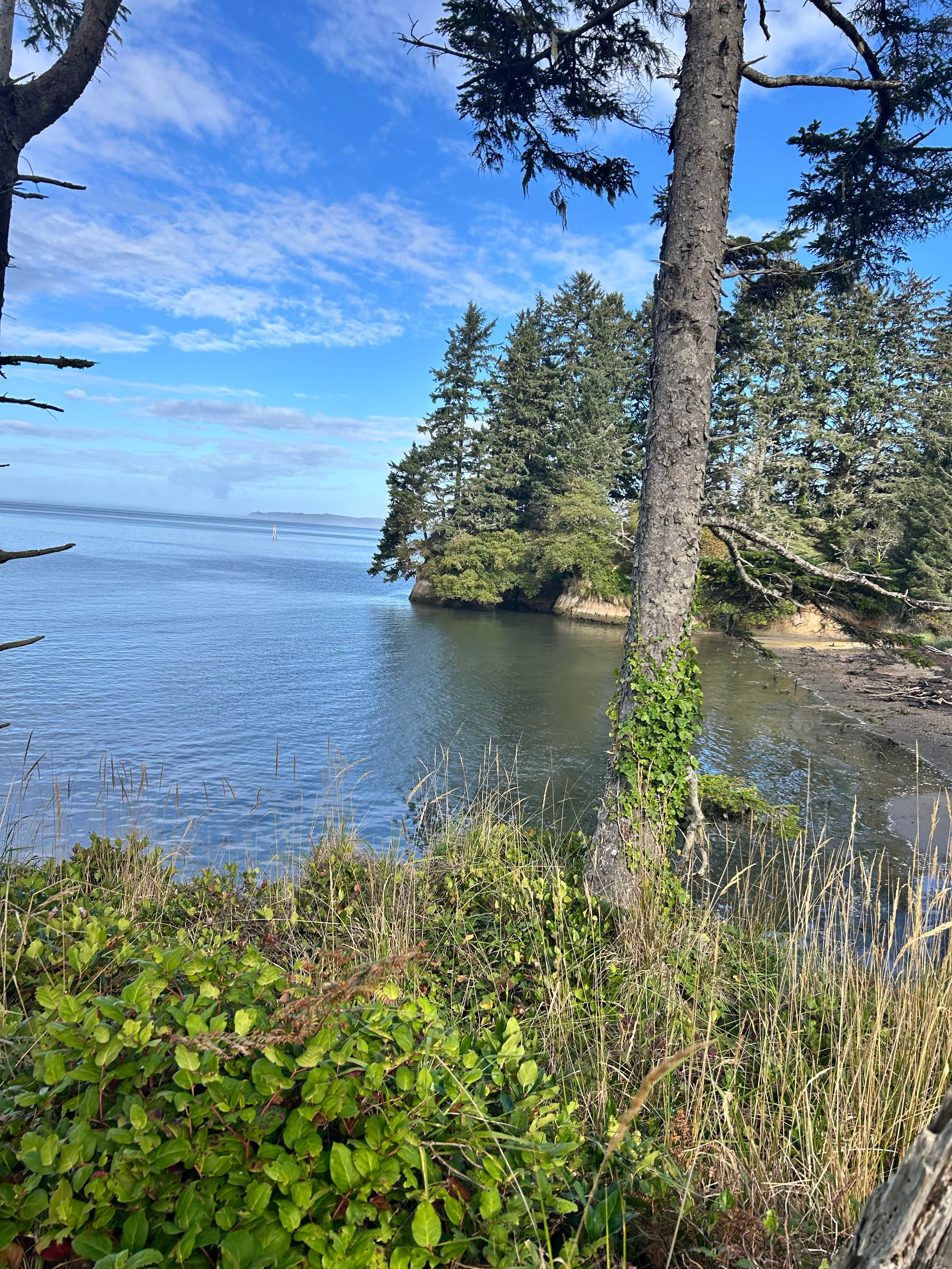 Camper-submitted photo at Bush Pioneer County Park near Ocean Park, WA