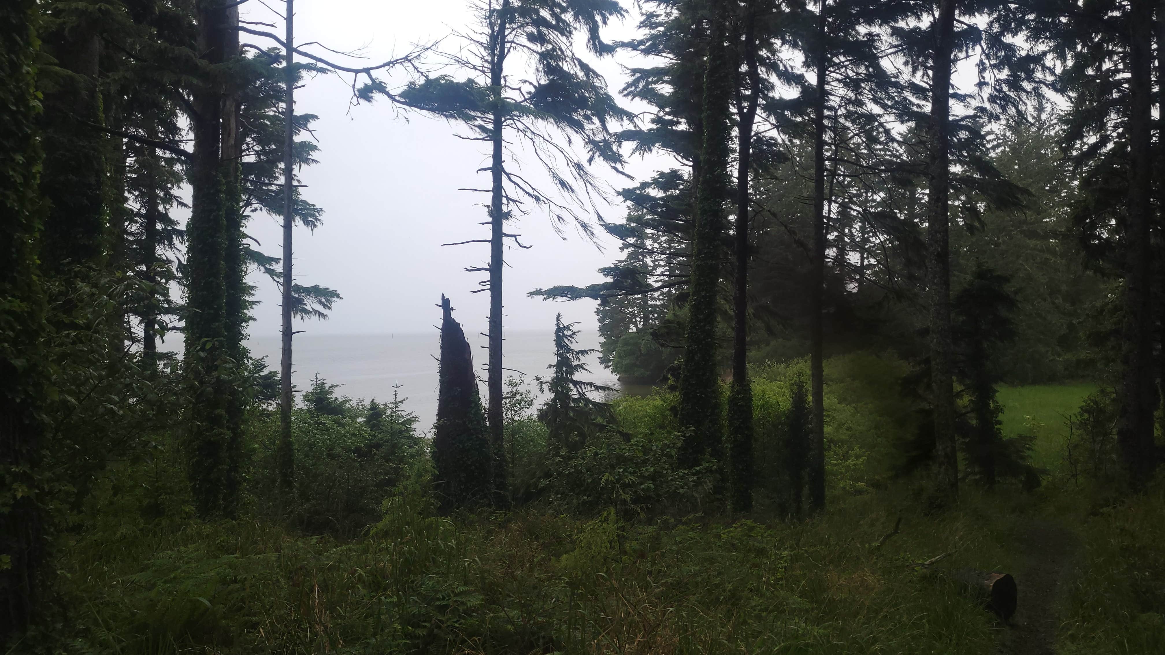 Camper-submitted photo at Bush Pioneer County Park near Raymond, WA