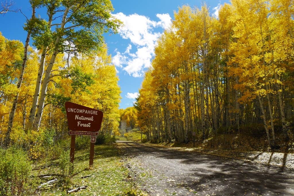 Camper-submitted photo at Busted Arm Draw Dispersed near Norwood, CO