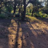 Review photo of Butler Wash Dispersed - Bears Ears by Steve M., June 27, 2024