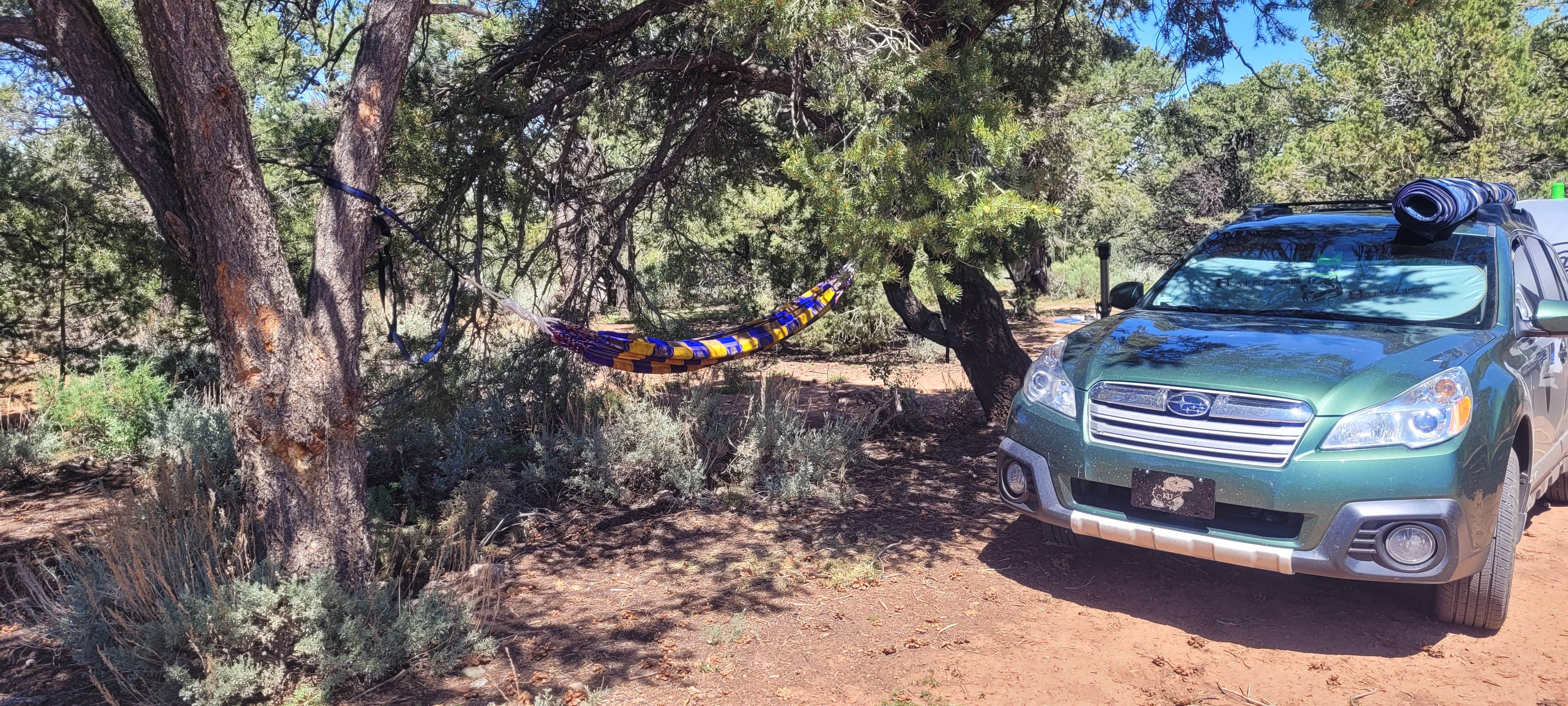 Camper submitted image from Butler Wash Dispersed - Bears Ears - 5