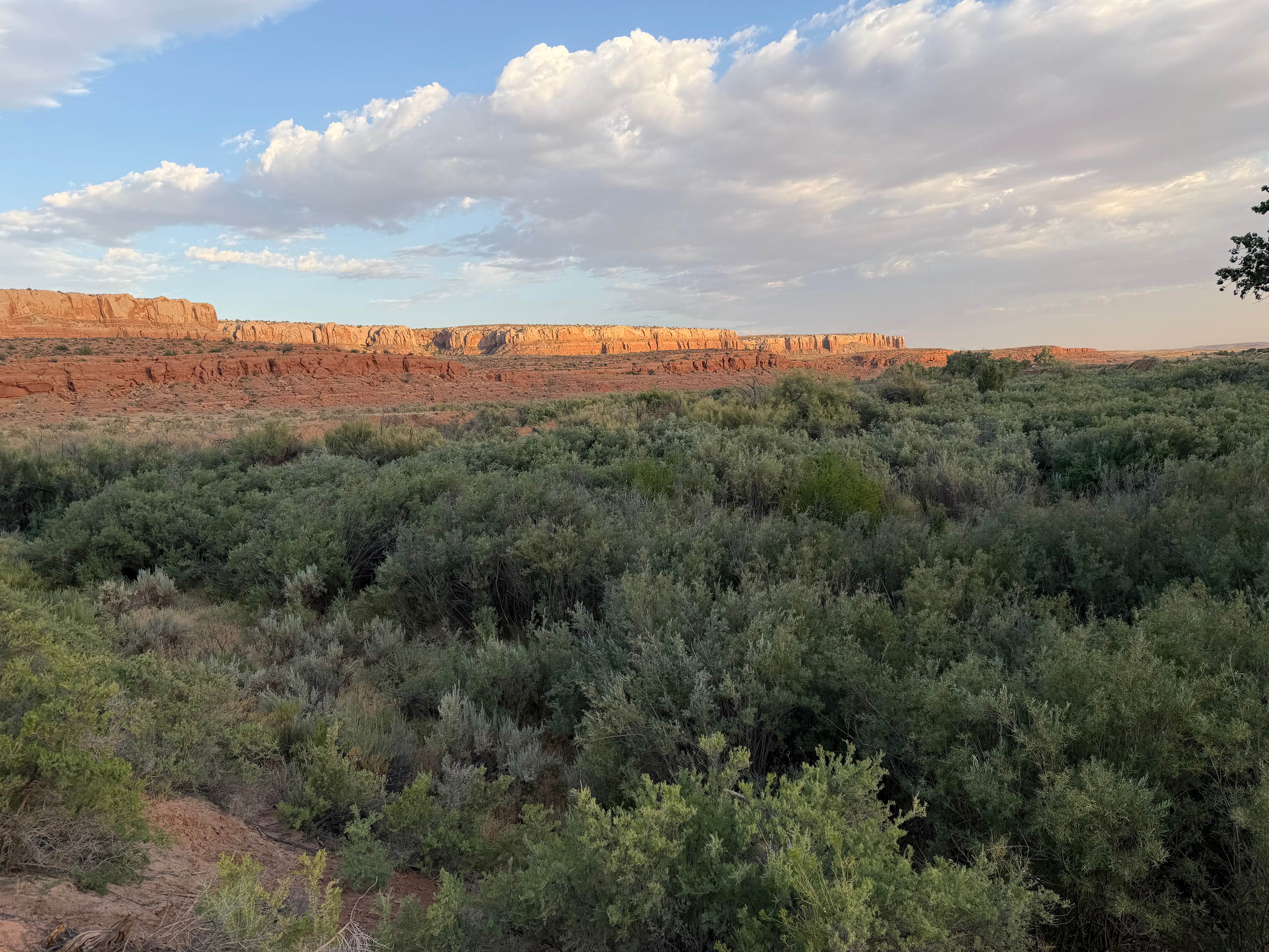 Camper-submitted photo at Butler Wash Dispersed - Bears Ears near Montezuma Creek, UT