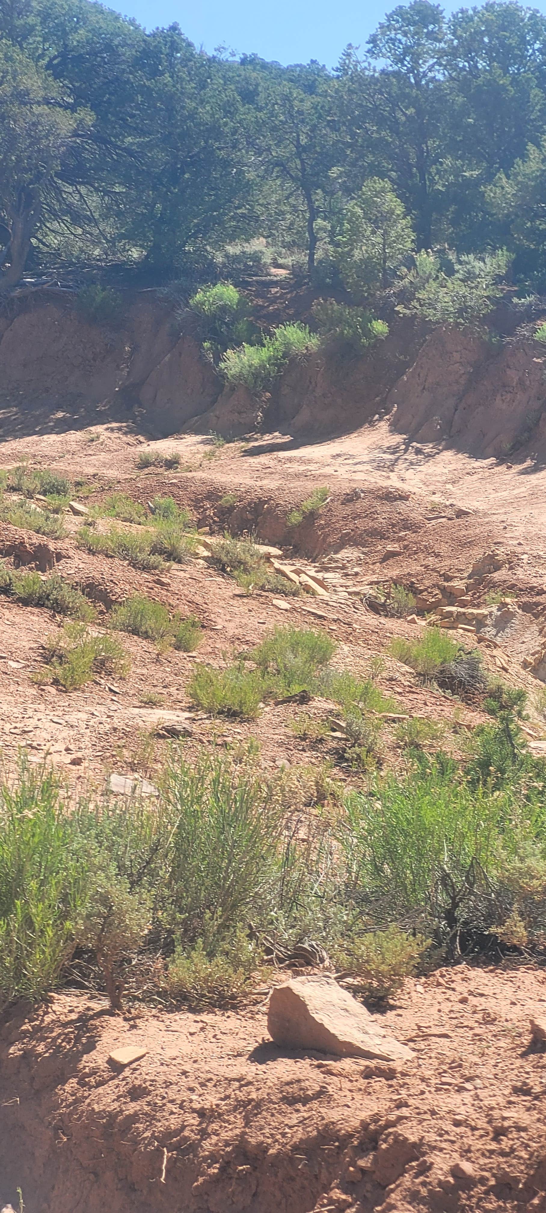 Camper-submitted photo at Butler Wash Dispersed - Bears Ears near Oljato-Monument Valley, UT
