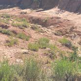 Review photo of Butler Wash Dispersed - Bears Ears by Steve M., June 27, 2024