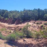 Review photo of Butler Wash Dispersed - Bears Ears by Steve M., June 27, 2024