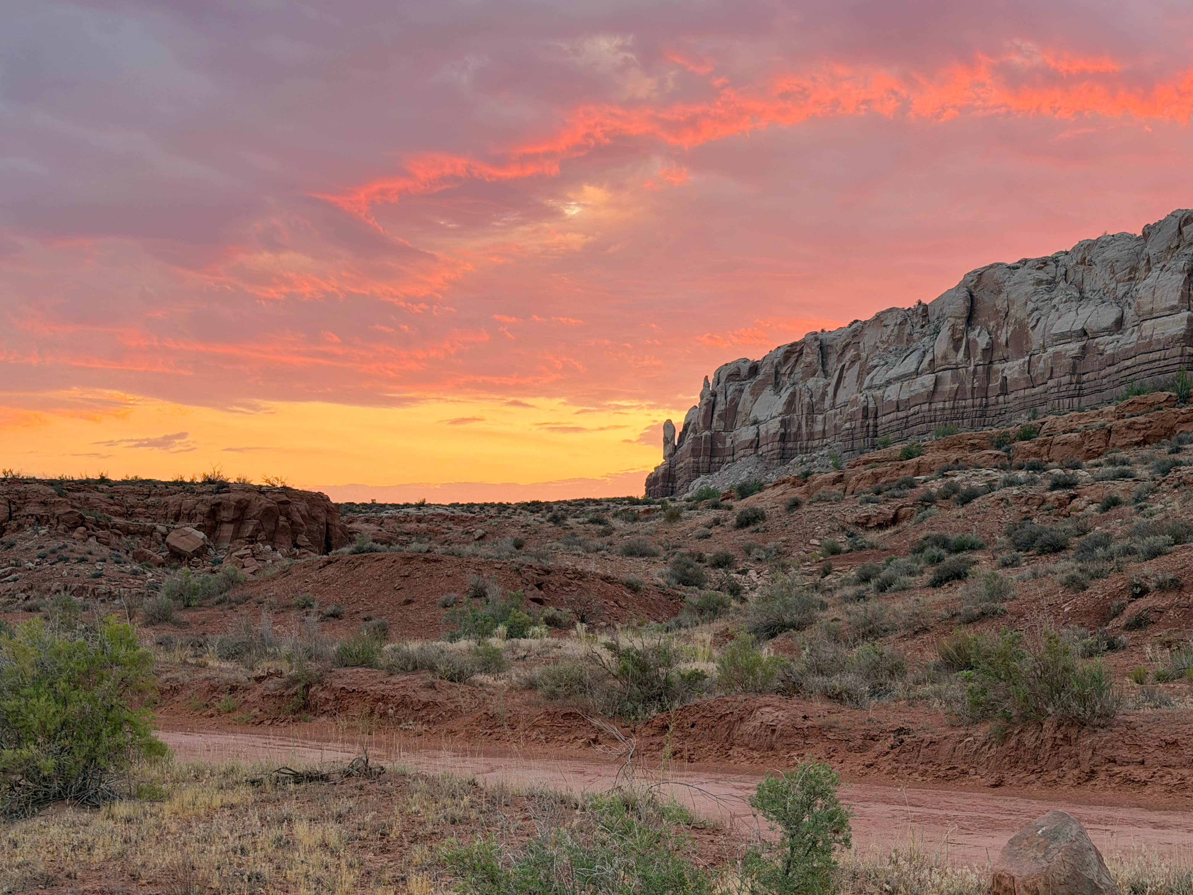 Camper-submitted photo at Butler Wash Dispersed - Bears Ears near Montezuma Creek, UT