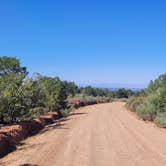 Review photo of Butler Wash Dispersed - Bears Ears by Steve M., June 27, 2024