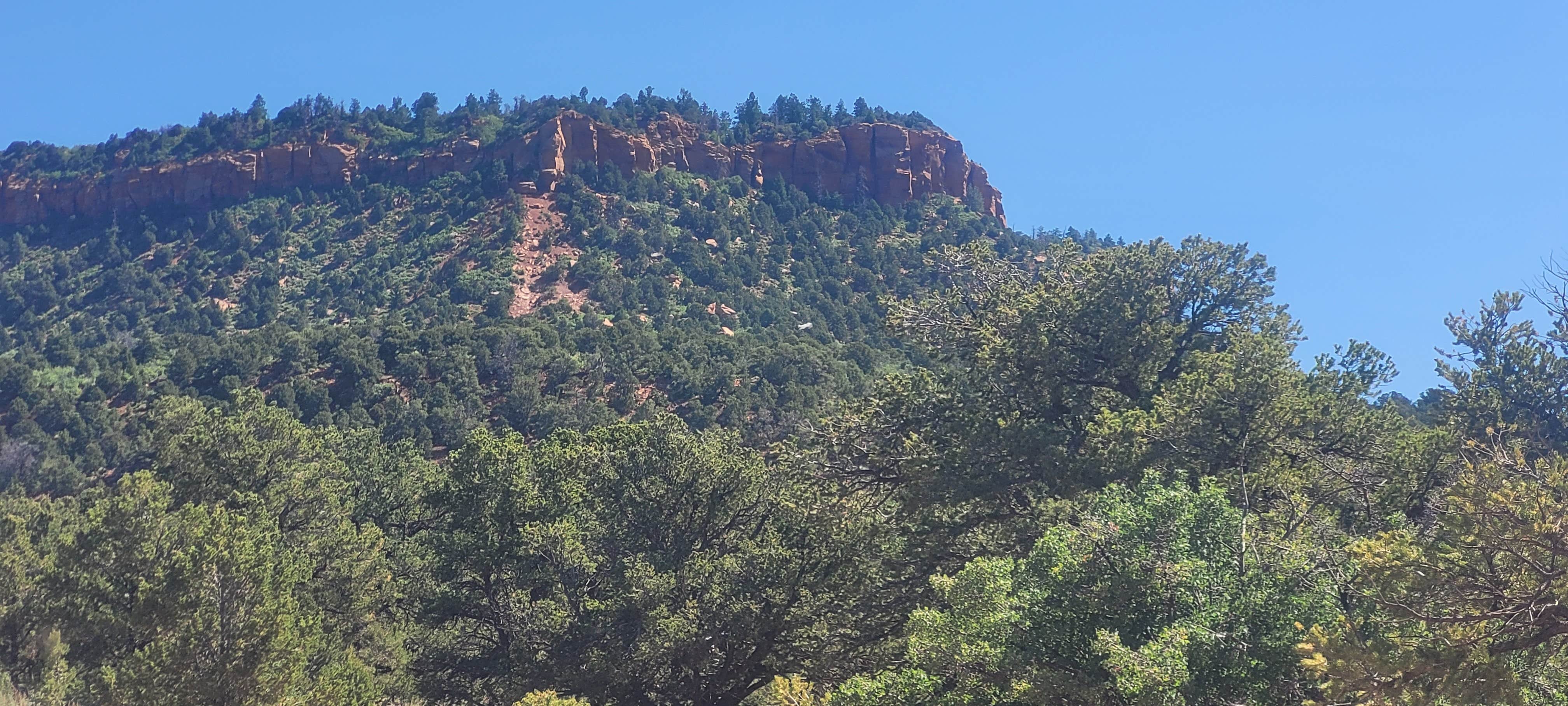 Camper-submitted photo at Butler Wash Dispersed - Bears Ears near Oljato-Monument Valley, UT
