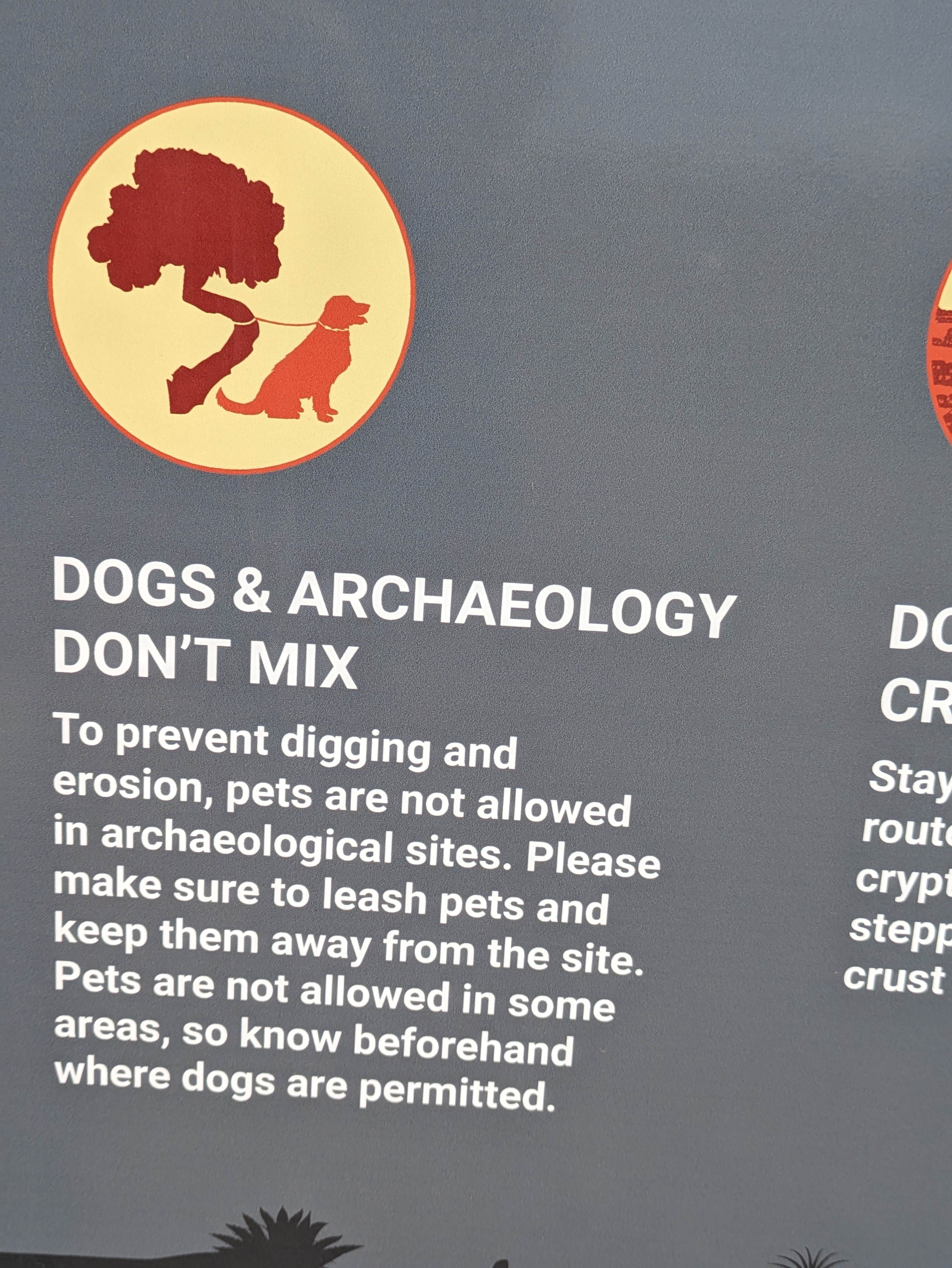 Greg L.'s photo of camping with pets at Butler Wash Pay Station Dispersed Camping near Blanding, UT