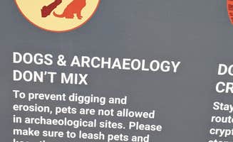 Greg L.'s photo of camping with pets at Butler Wash Pay Station Dispersed Camping near Blanding, UT