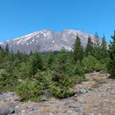 Review photo of Butte Camp/Climbers Bivouac Dispersed Campsite by Starseed P., January 31, 2025