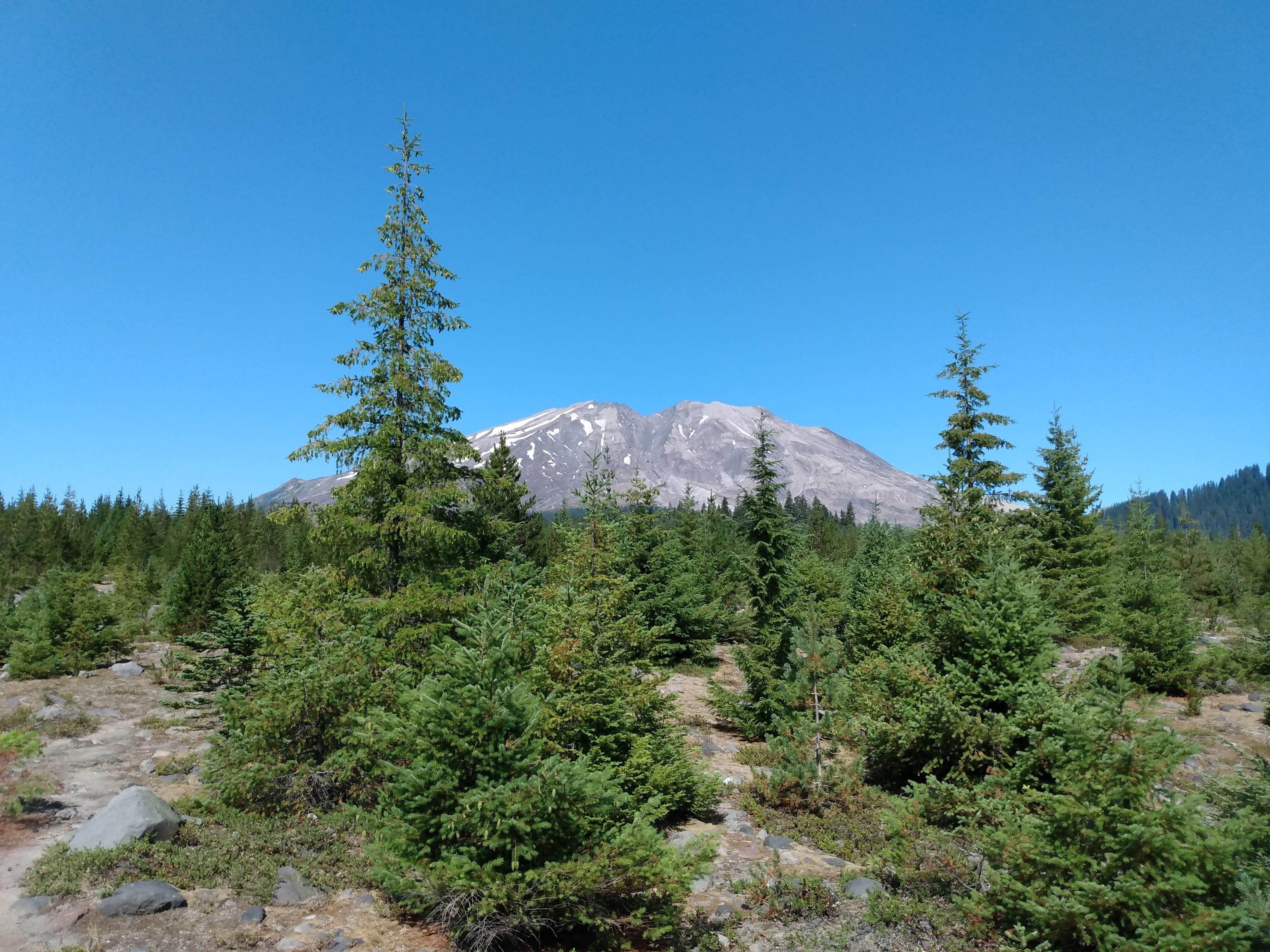 Camper-submitted photo at Butte Camp/Climbers Bivouac Dispersed Campsite near Woodland, WA