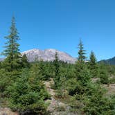 Review photo of Butte Camp/Climbers Bivouac Dispersed Campsite by Starseed P., January 31, 2025