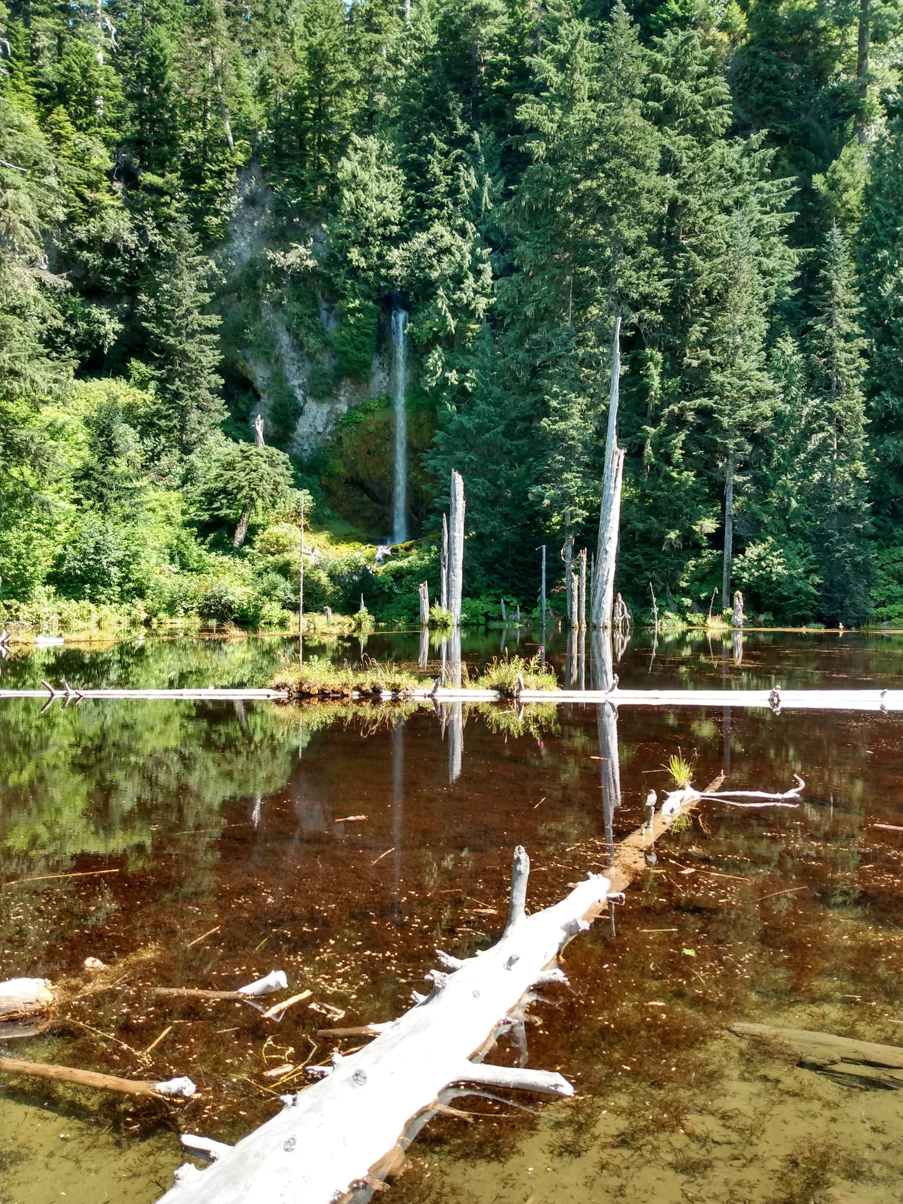 Starseed P.'s photo of a dispersed camping area at Butte Camp/Climbers Bivouac Dispersed Campsite near Woodland, WA