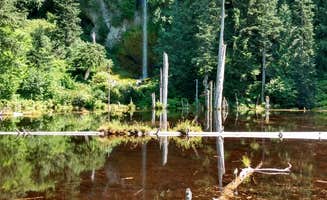 Starseed P.'s photo of a dispersed camping area at Butte Camp/Climbers Bivouac Dispersed Campsite near Clatskanie, OR