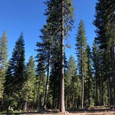 Review photo of Butte Meadows Campground by Stacy L., June 15, 2024