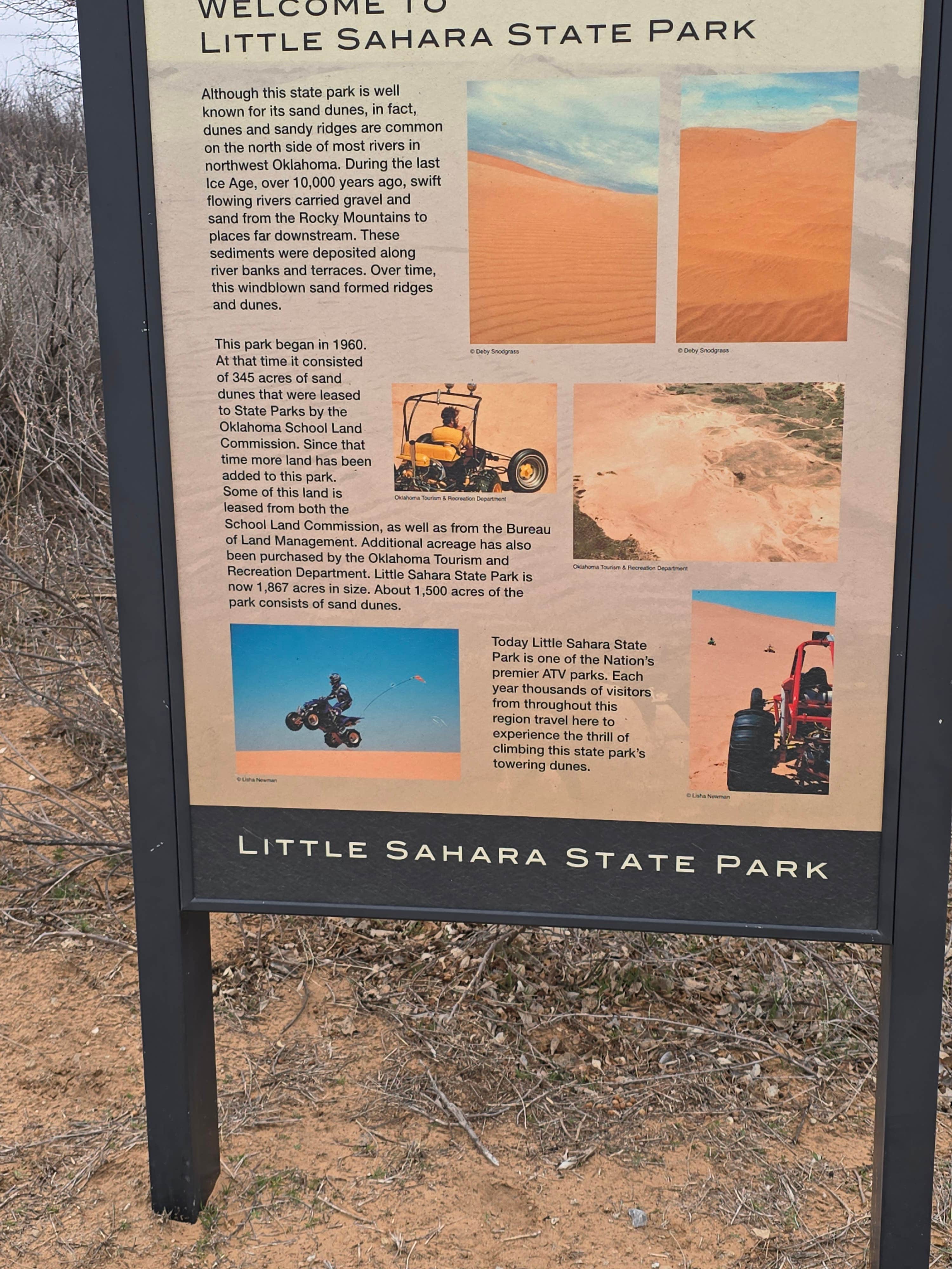 Camping near Spring Hill Campground — Boiling Springs State Park: Buttercup — Little Sahara State Park, Waynoka, Oklahoma