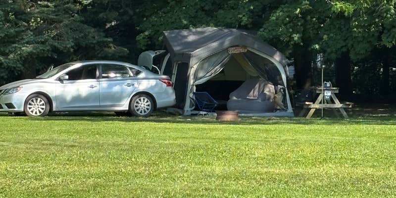 Camper submitted image from Buttercup Woodlands Campground