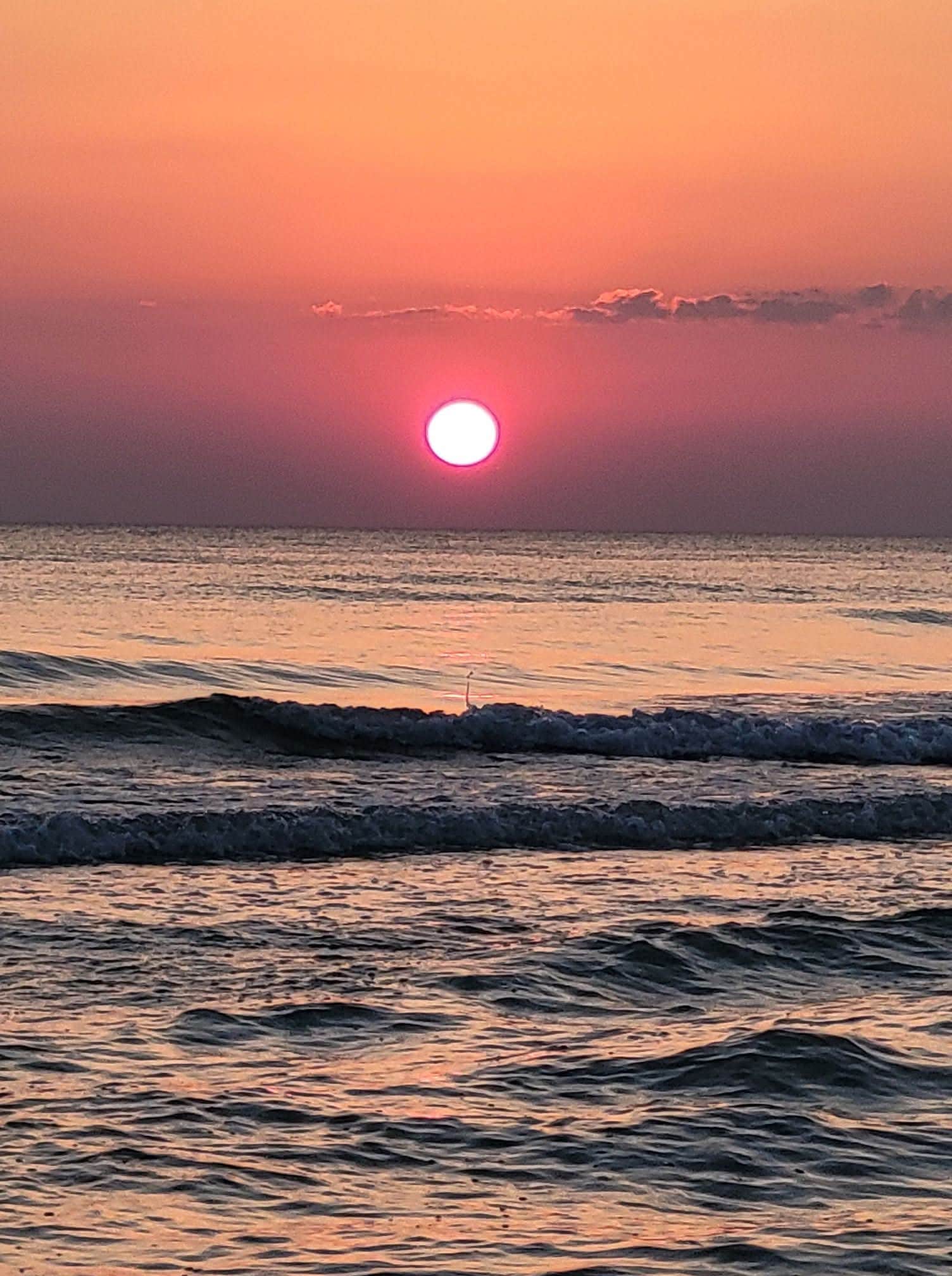 Camper-submitted photo at Buttonwood Campground — Bahia Honda State Park near Marathon Shores, FL