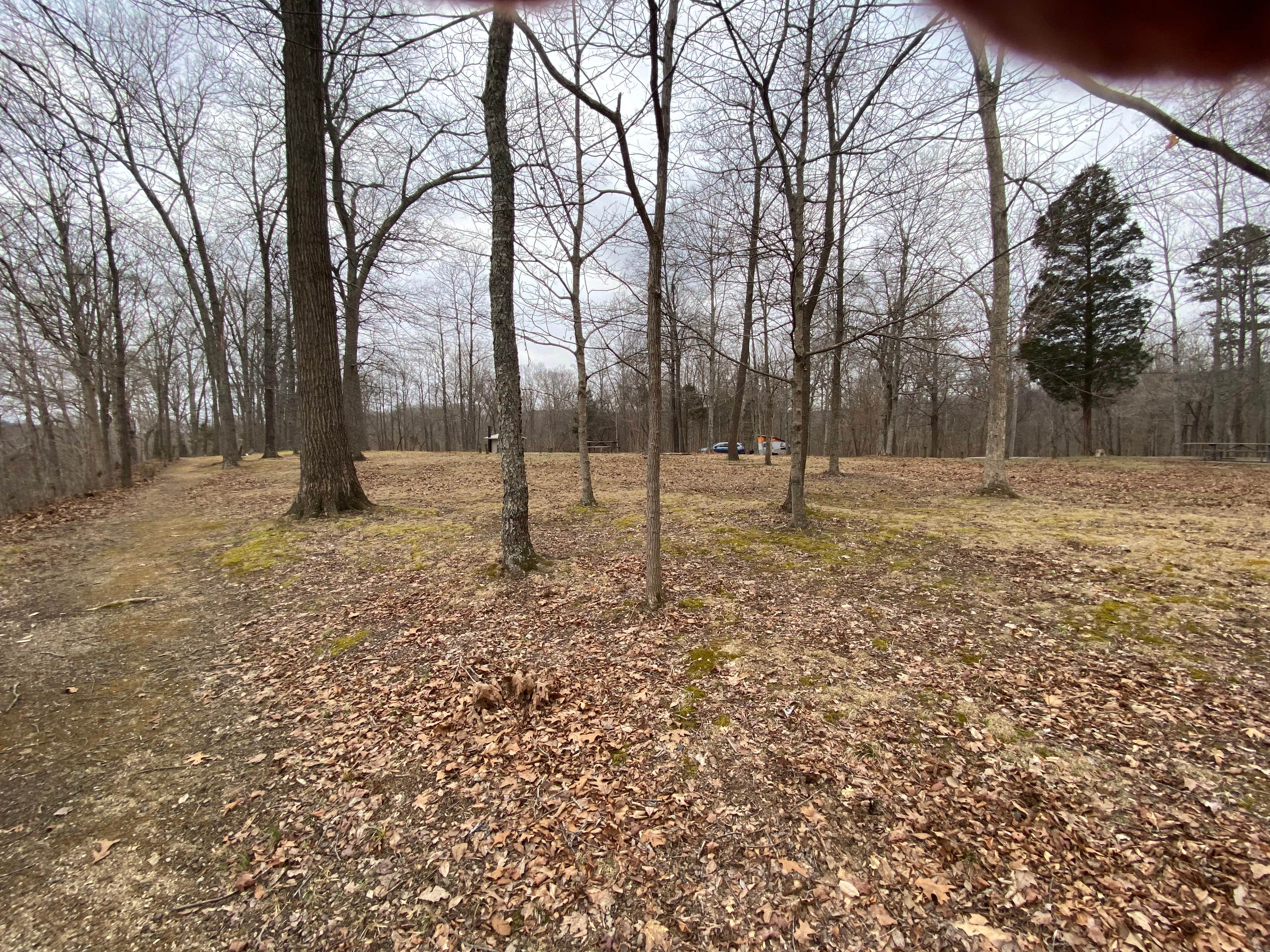 Camper-submitted photo at Buzzard Roost Campground — Hoosier National Forest near Cannelton, IN