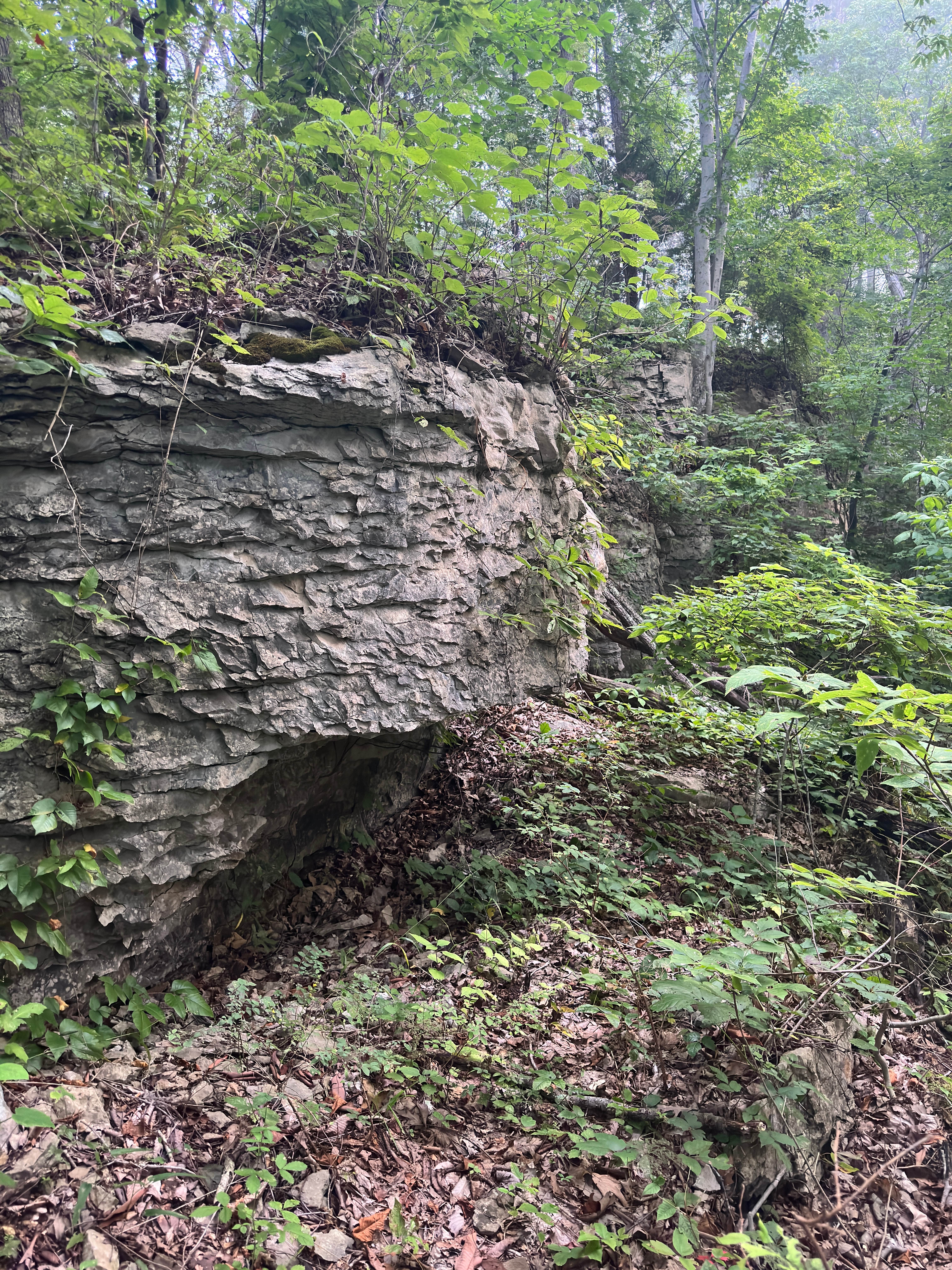 Camper-submitted photo at Buzzard Roost Campground — Hoosier National Forest near Leavenworth, IN