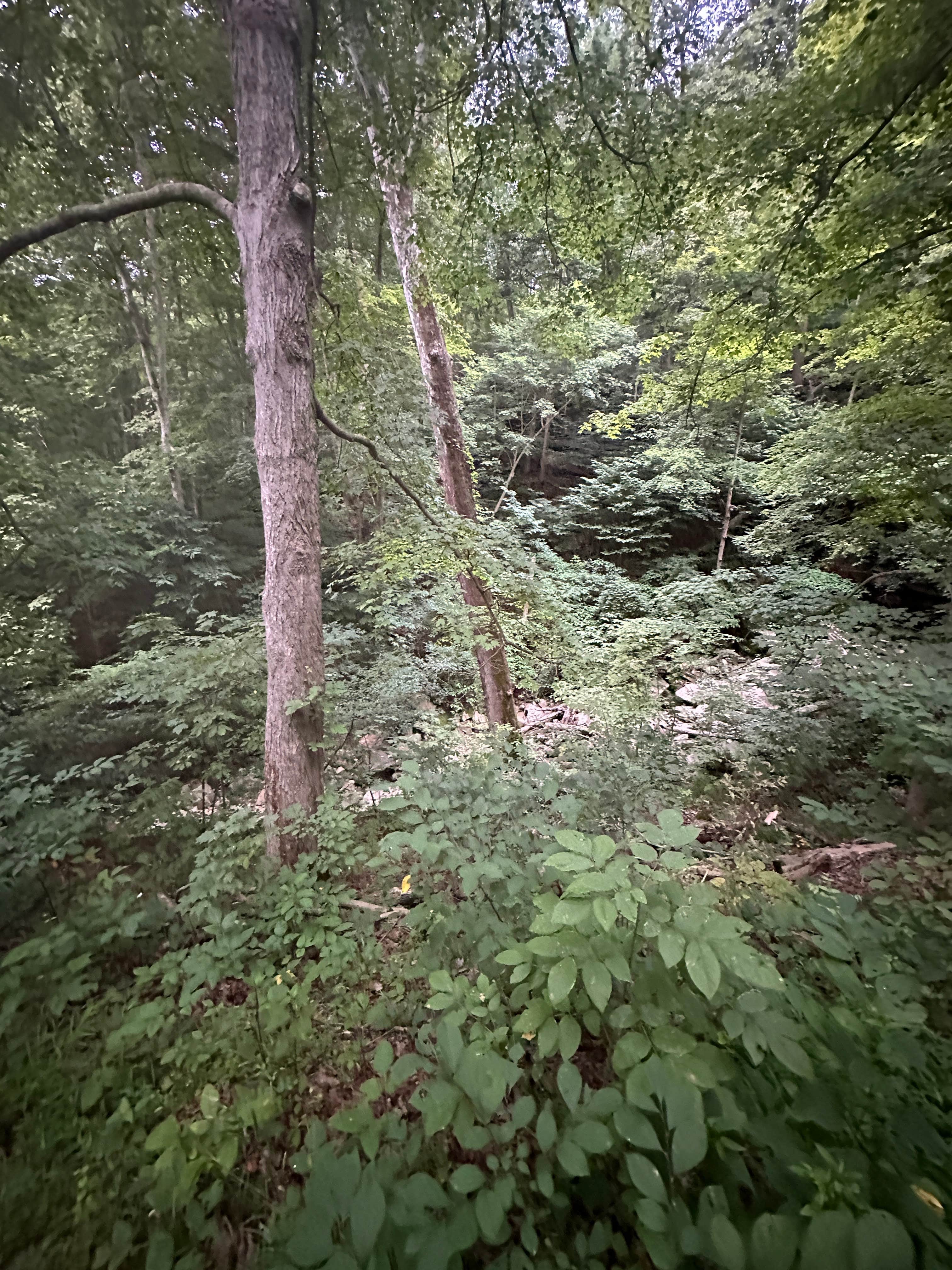 Camper-submitted photo at Buzzard Roost Campground — Hoosier National Forest near Leavenworth, IN