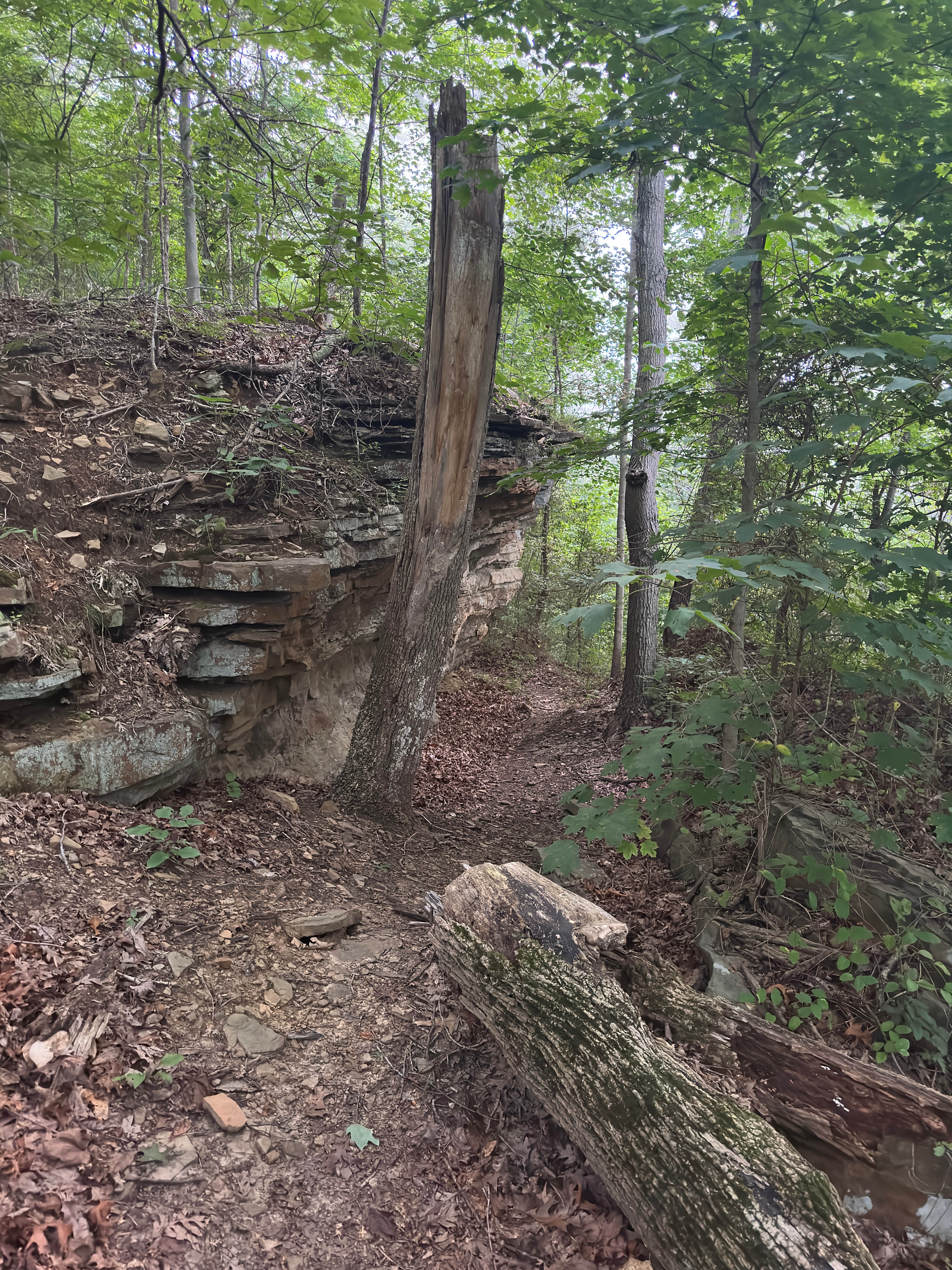 Camper submitted image from Buzzard Roost Campground — Hoosier National Forest - 4