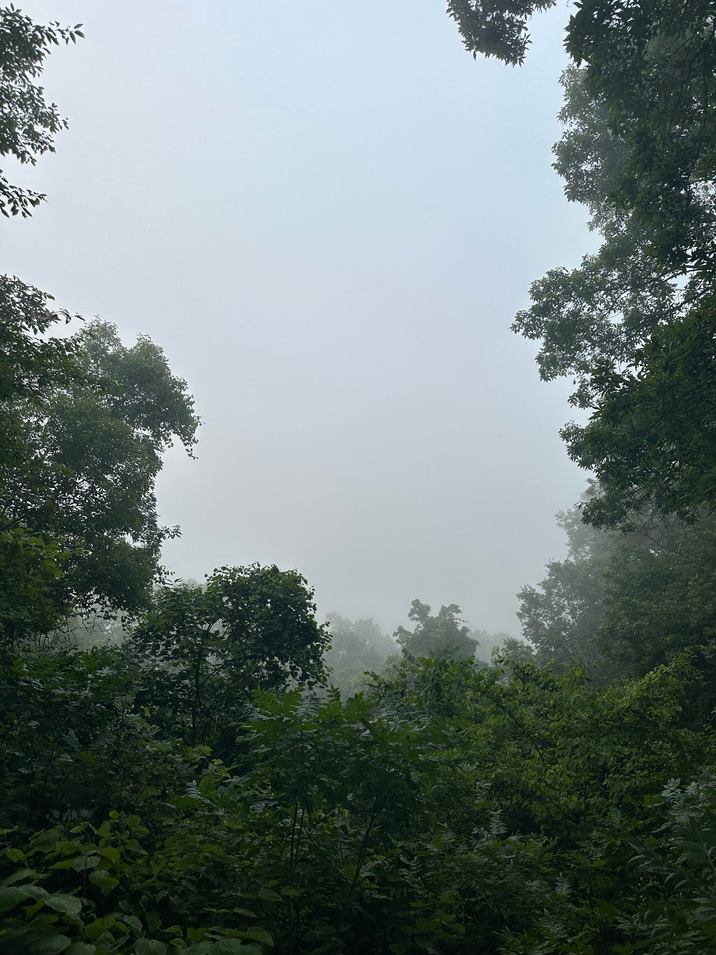 Camper-submitted photo at Buzzard Roost Campground — Hoosier National Forest near Leavenworth, IN