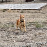 Review photo of BV Overlook by Becky M., May 12, 2025