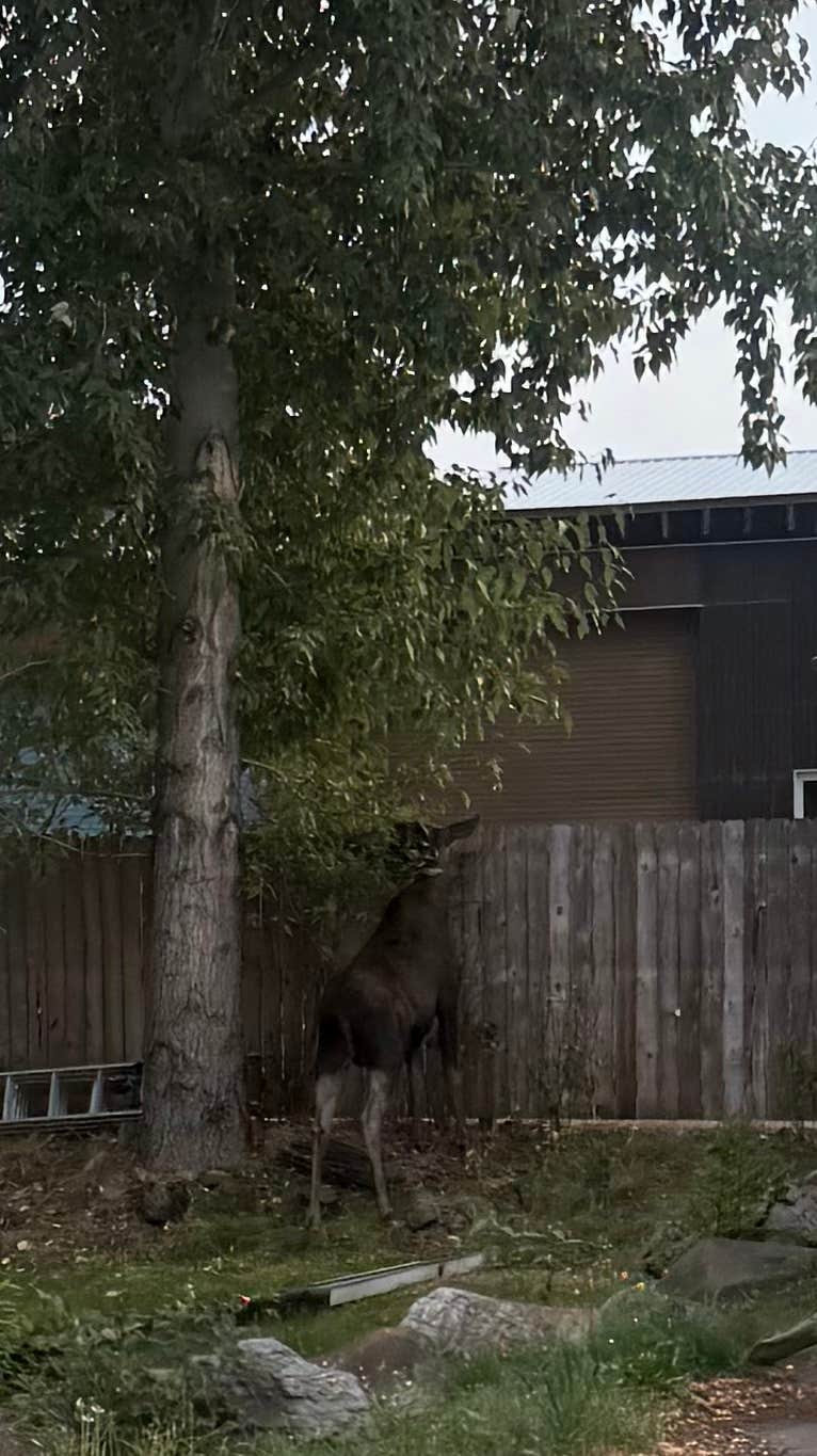 Camping near Big Creek RV Park: By the Way Campground, Kingston, Idaho