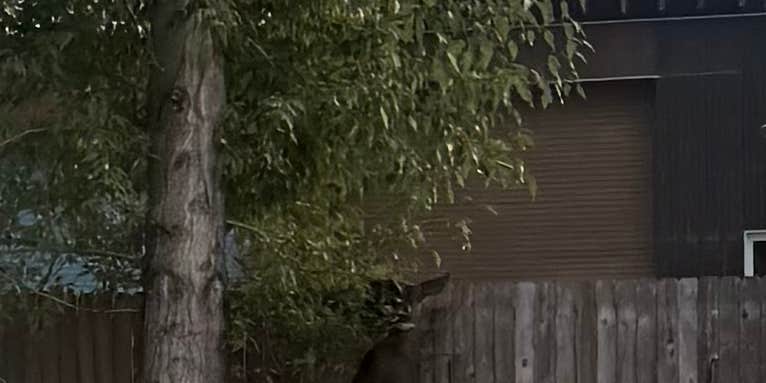 Camper submitted image from By the Way Campground