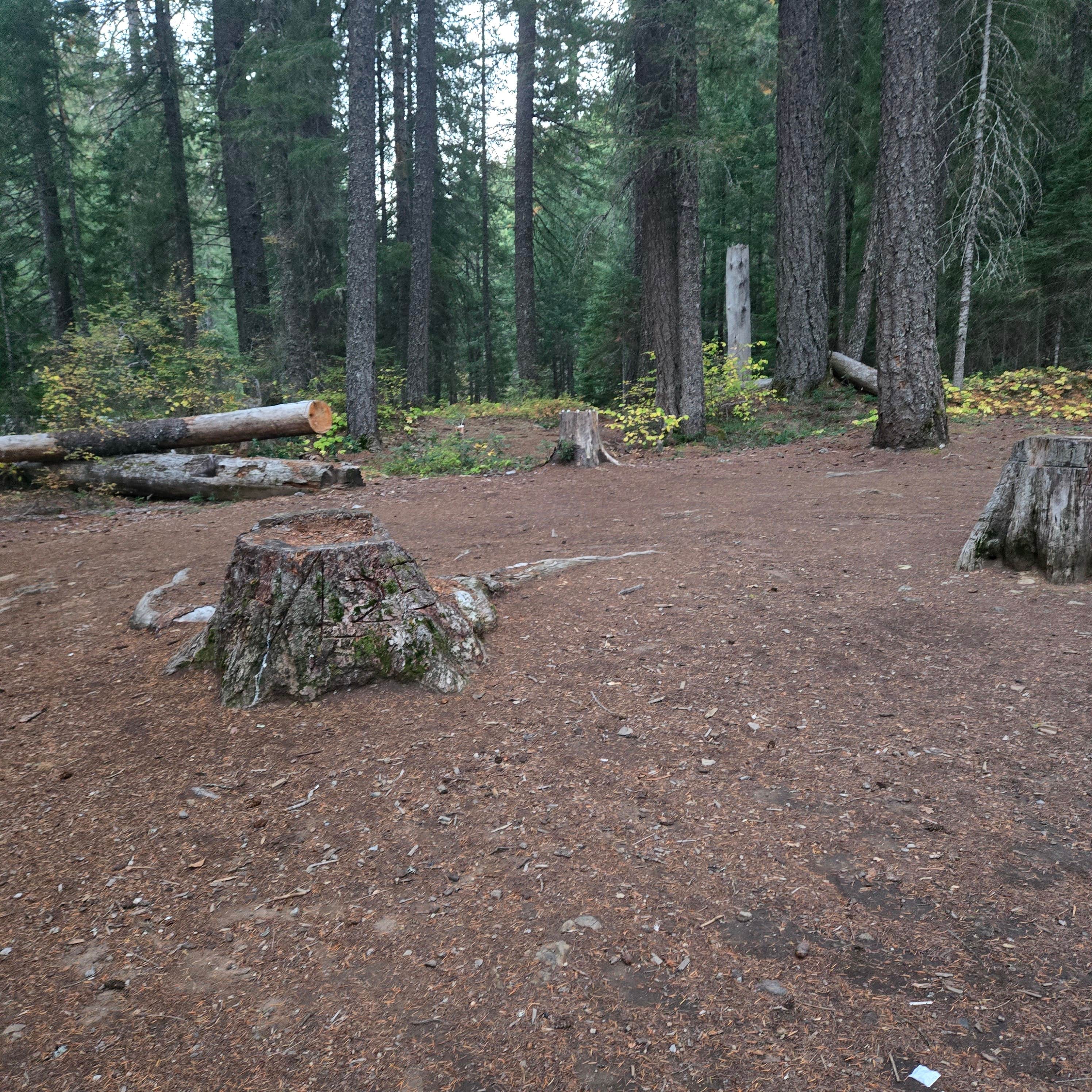 Camper-submitted photo at Bybee Creek runoff to Rogue River near Tiller, OR
