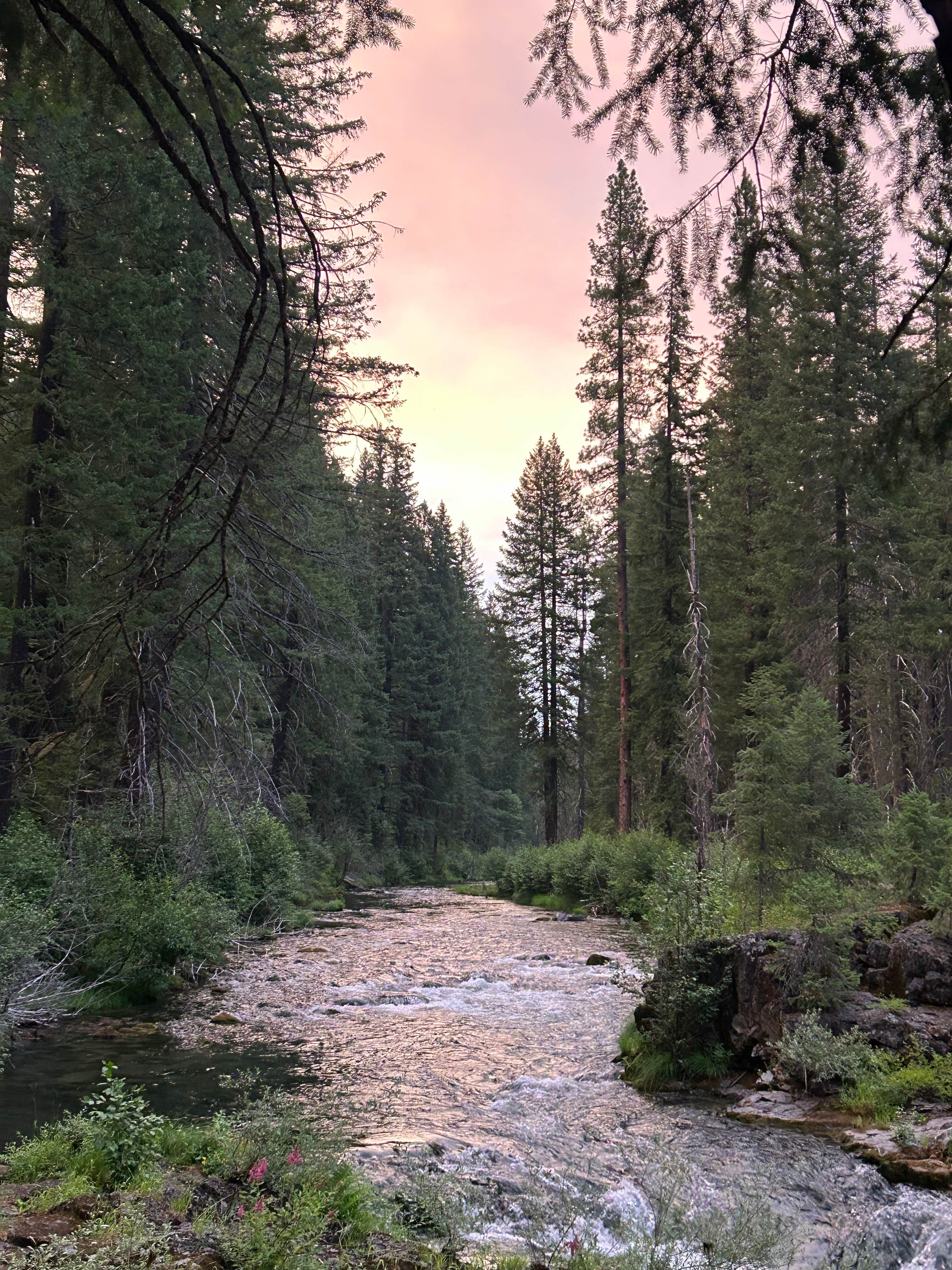 Camper-submitted photo at Bybee Creek runoff to Rogue River near Prospect, OR