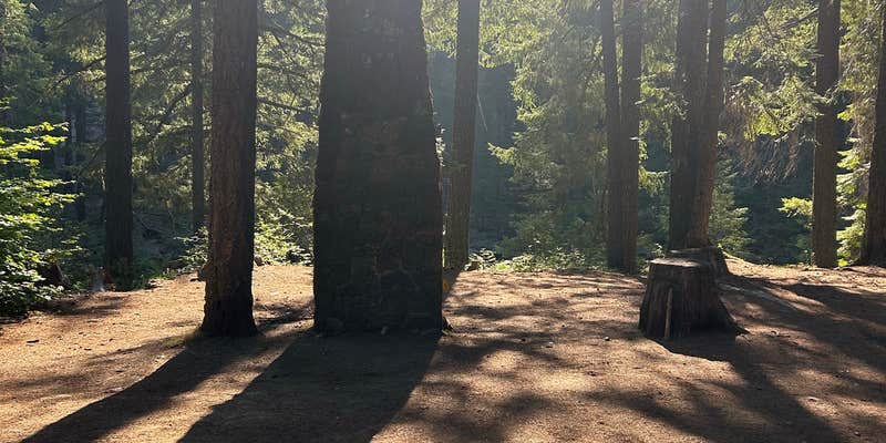 Camper submitted image from Bybee Creek runoff to Rogue River